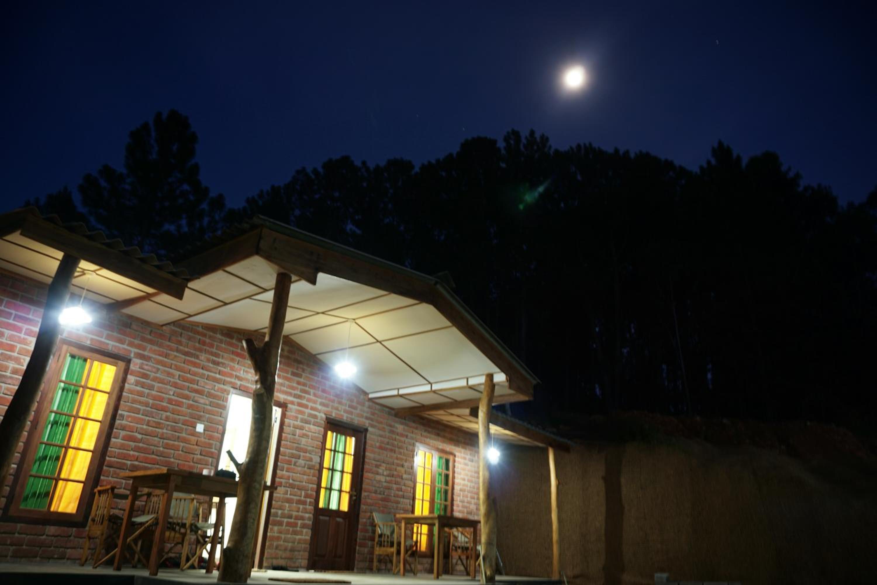 Photo 41
