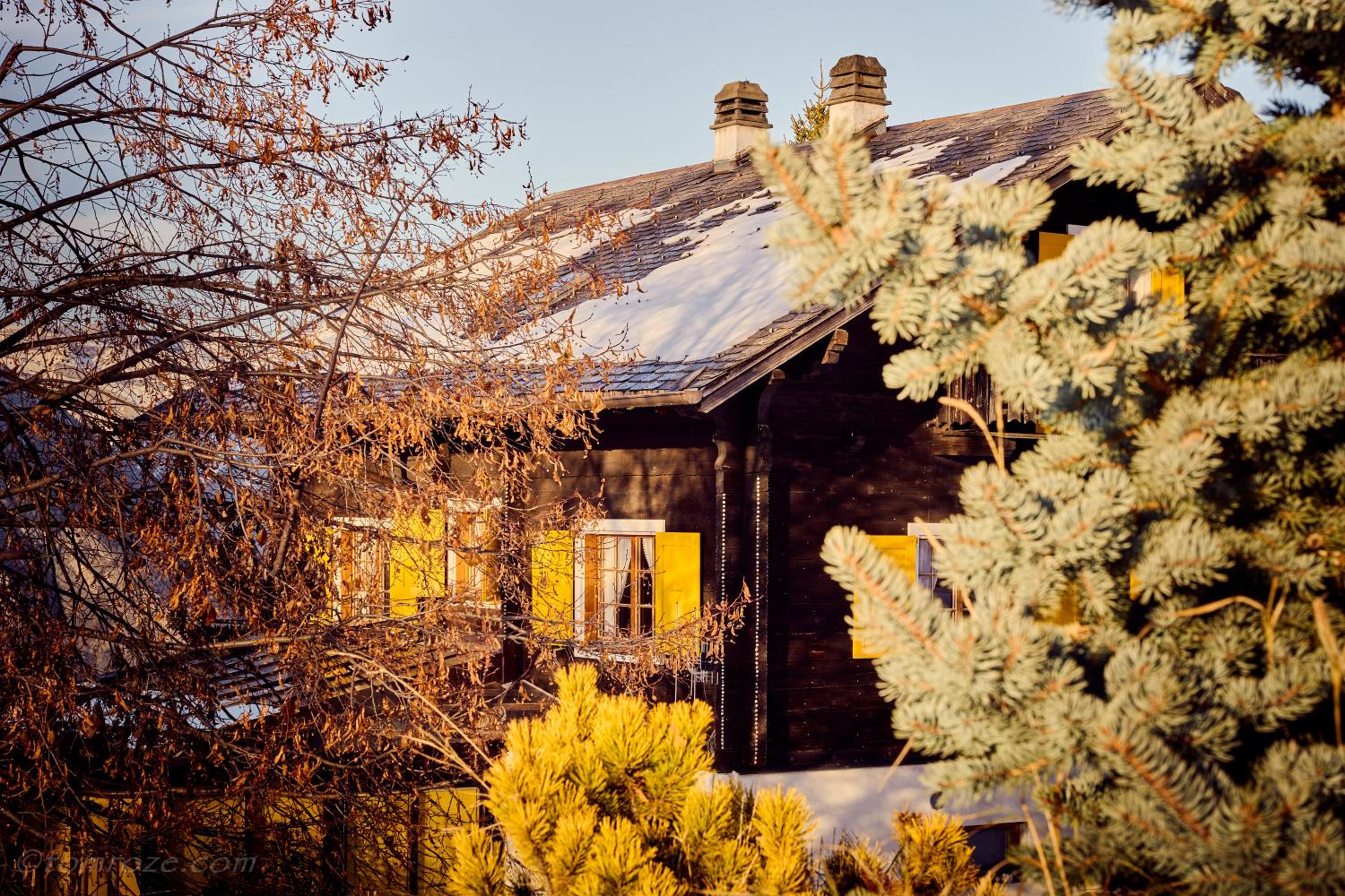 Chalet Bouton D Or
