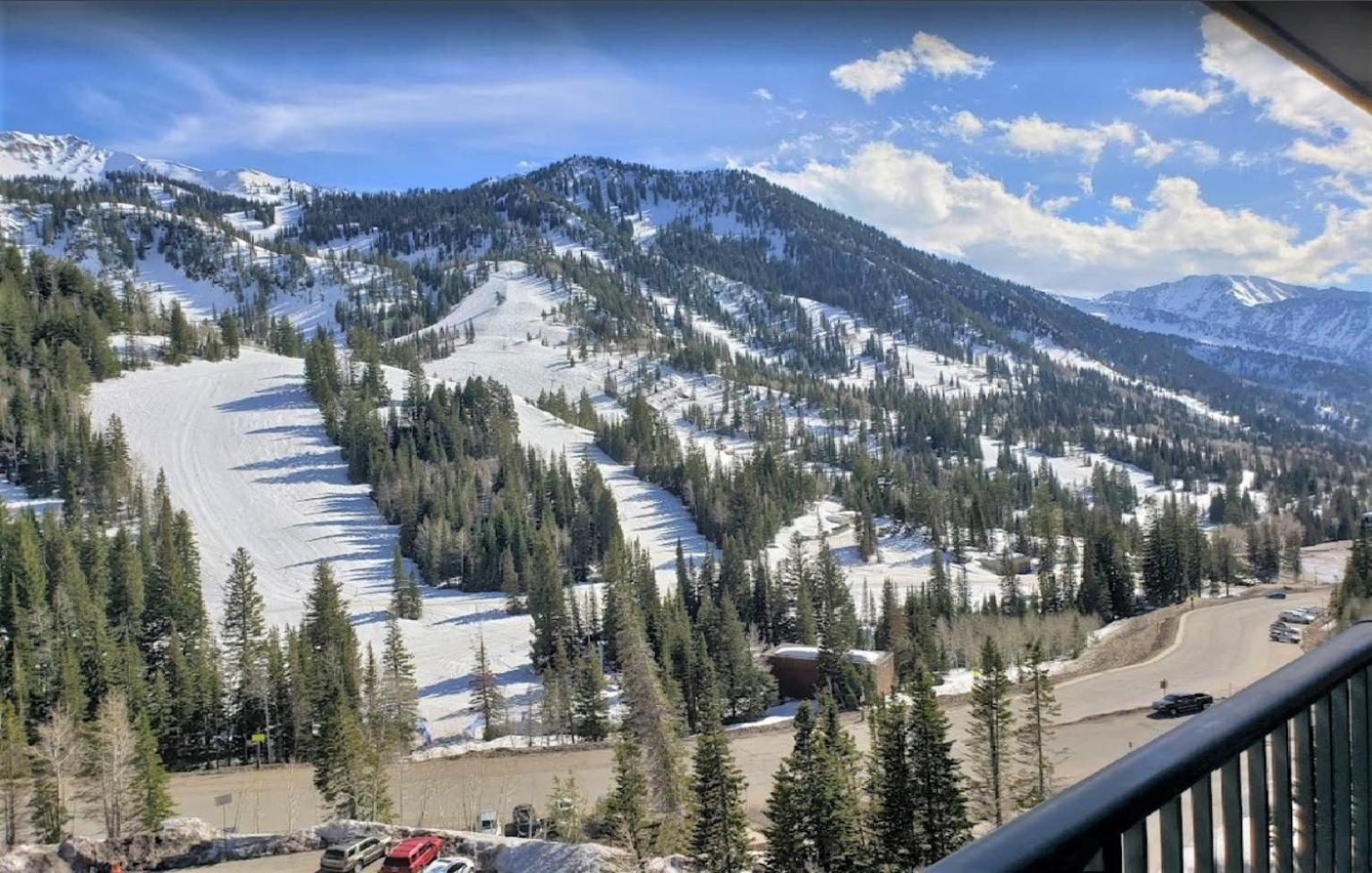 Condo Right on the Snowbird Slopes!