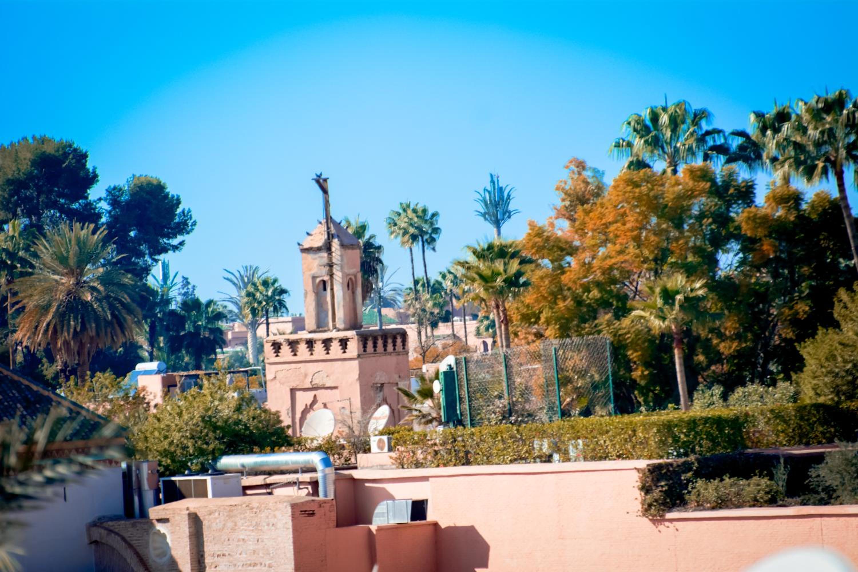 Riad FARASHA