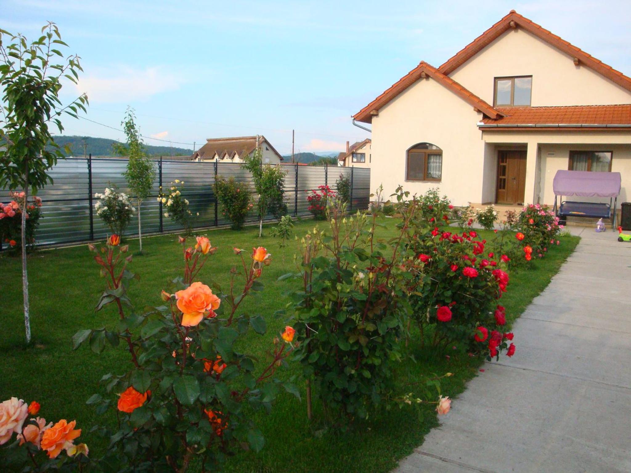 Casa Daria, photo 31
