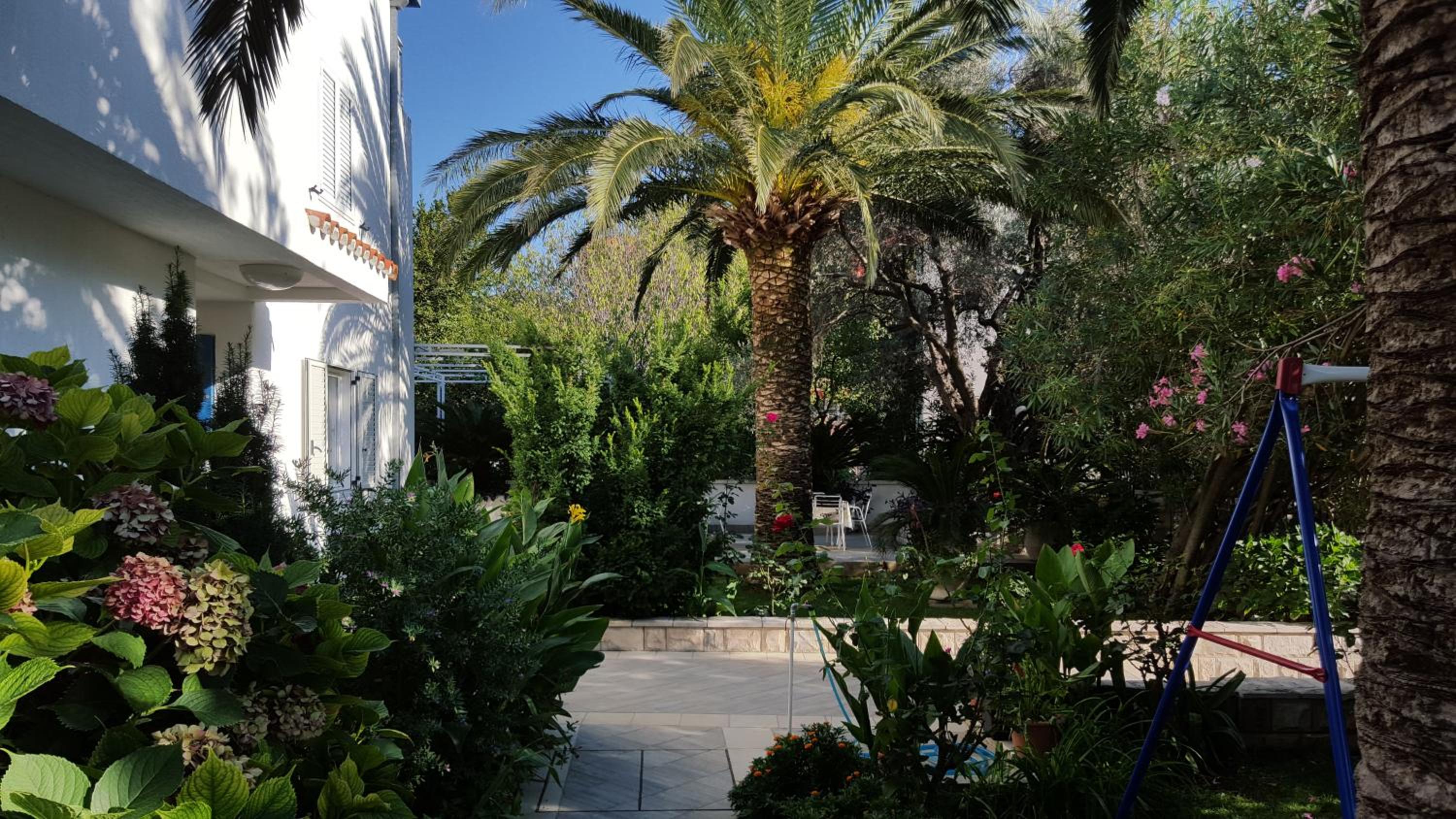 Apartments Becici
