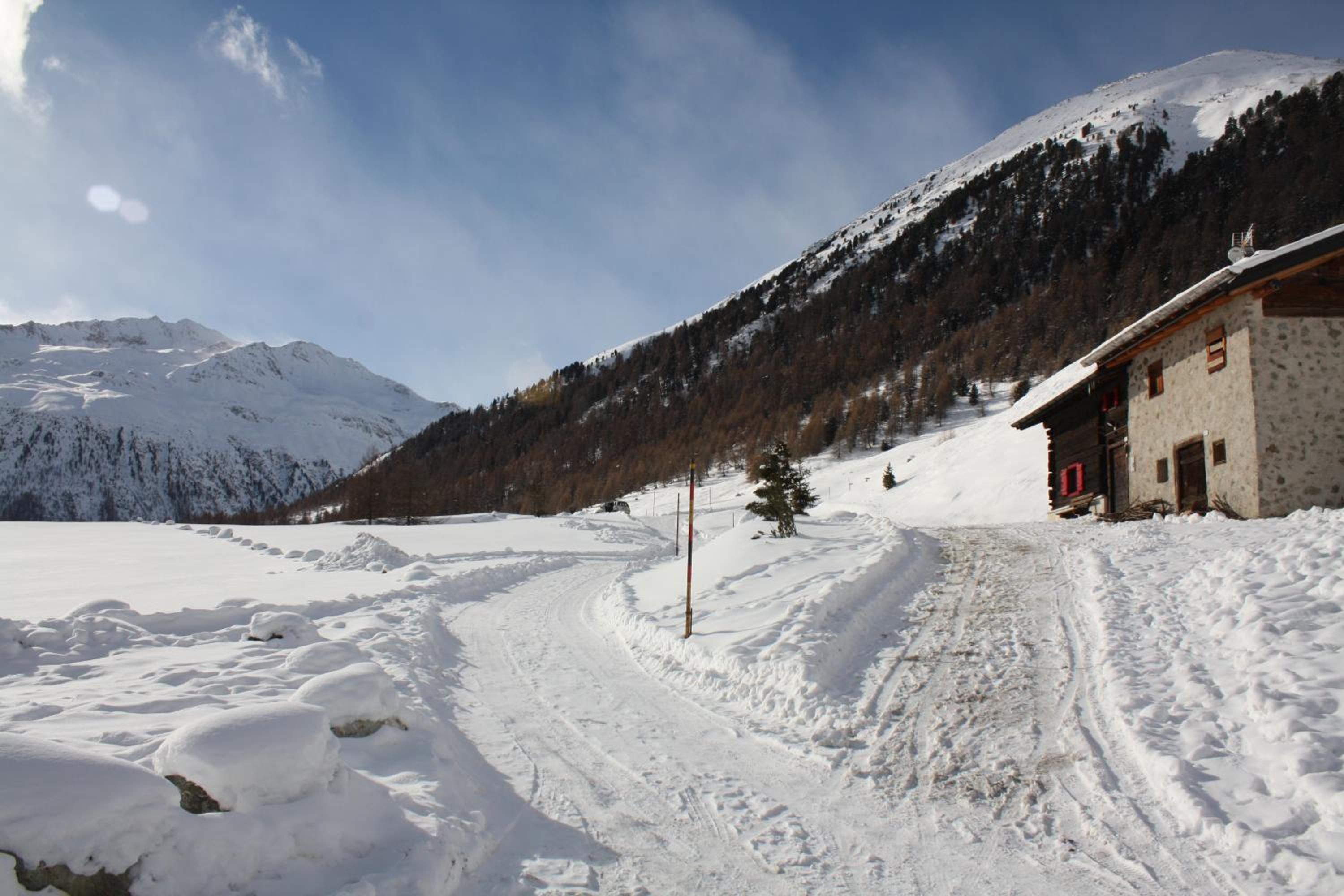 Chalet Renzo photo 3