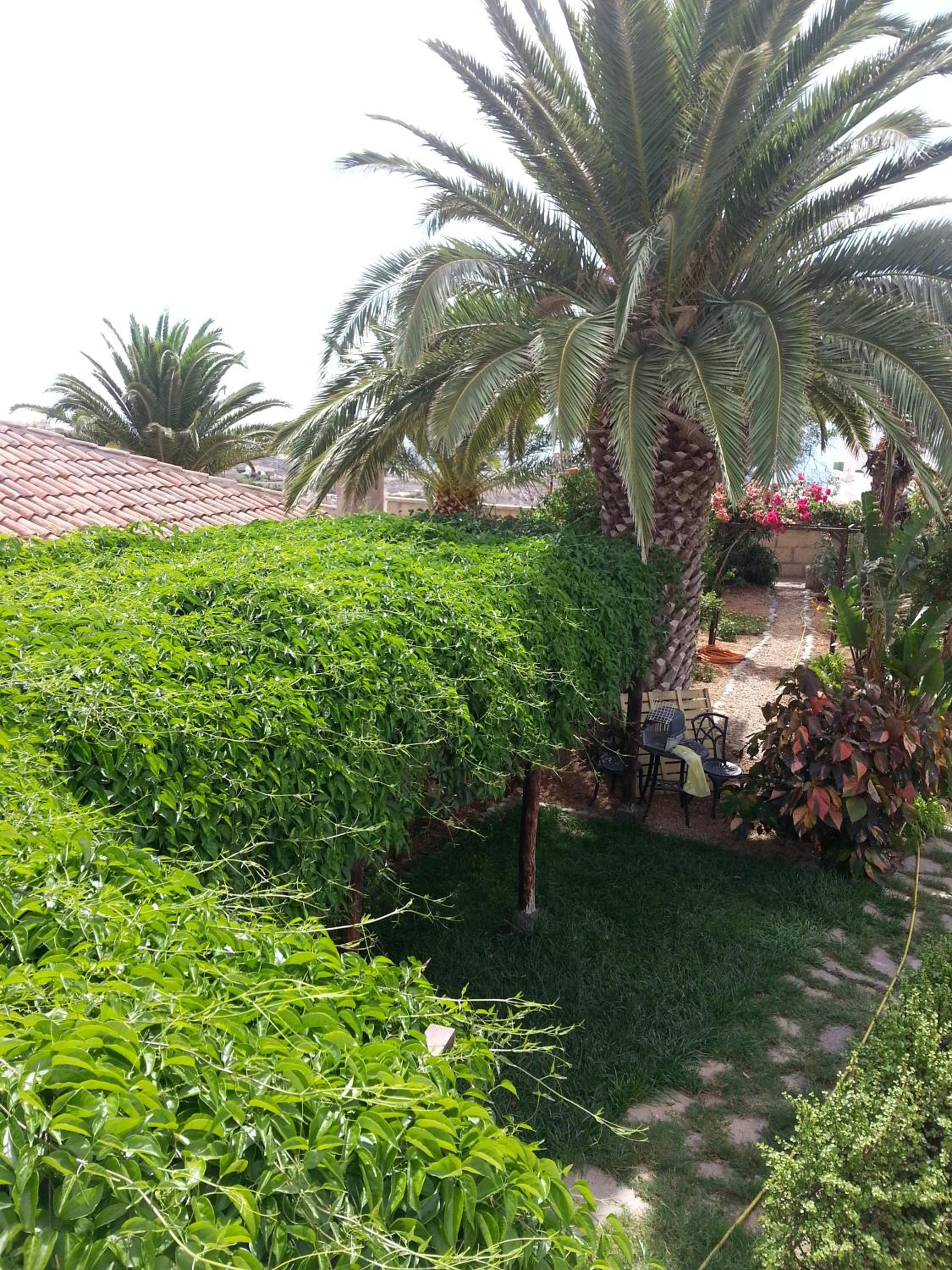 Casa Rural Anton Piche with Pool-Adults Only