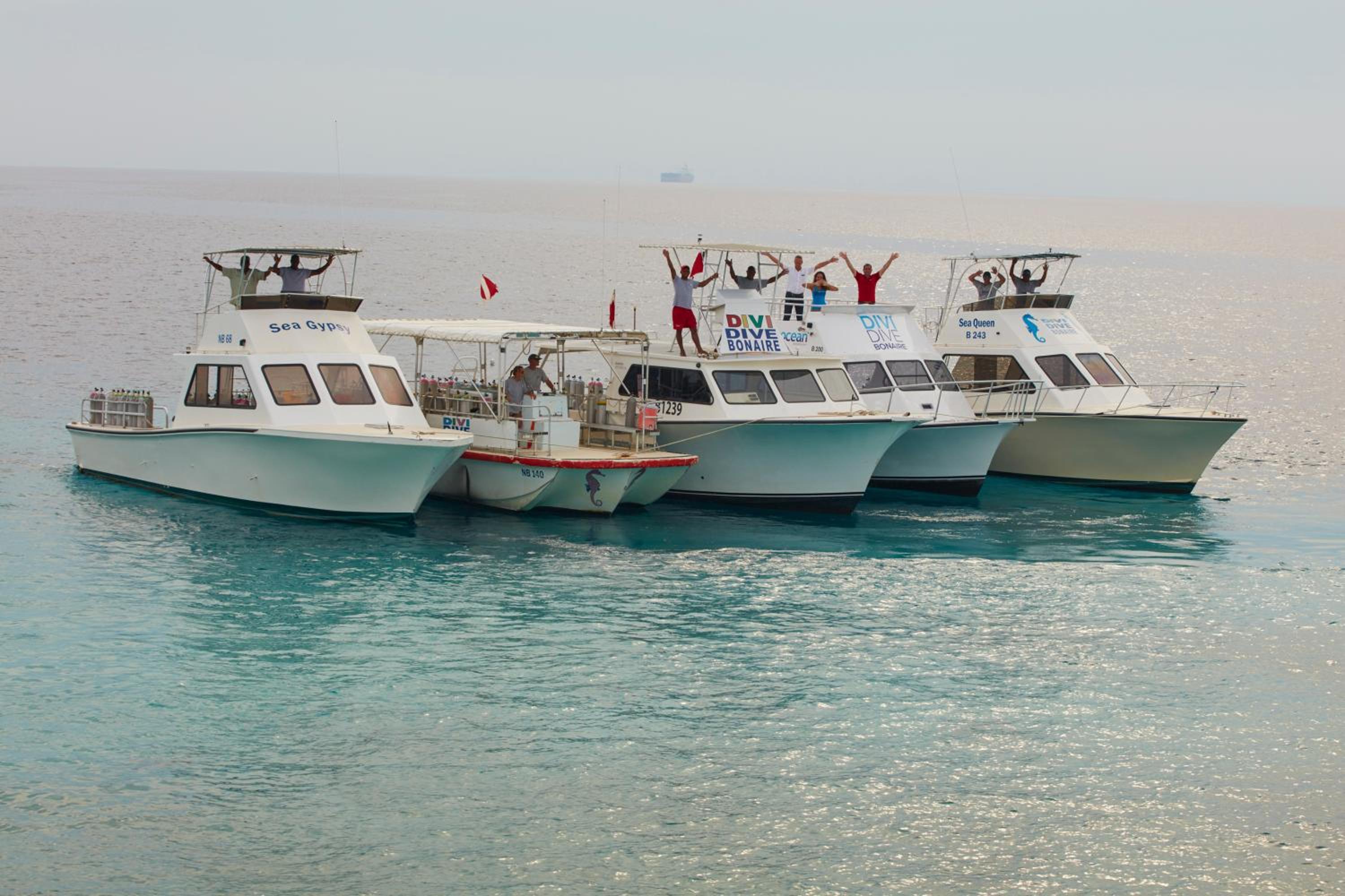 Divi Flamingo Beach Resort - Photo 31