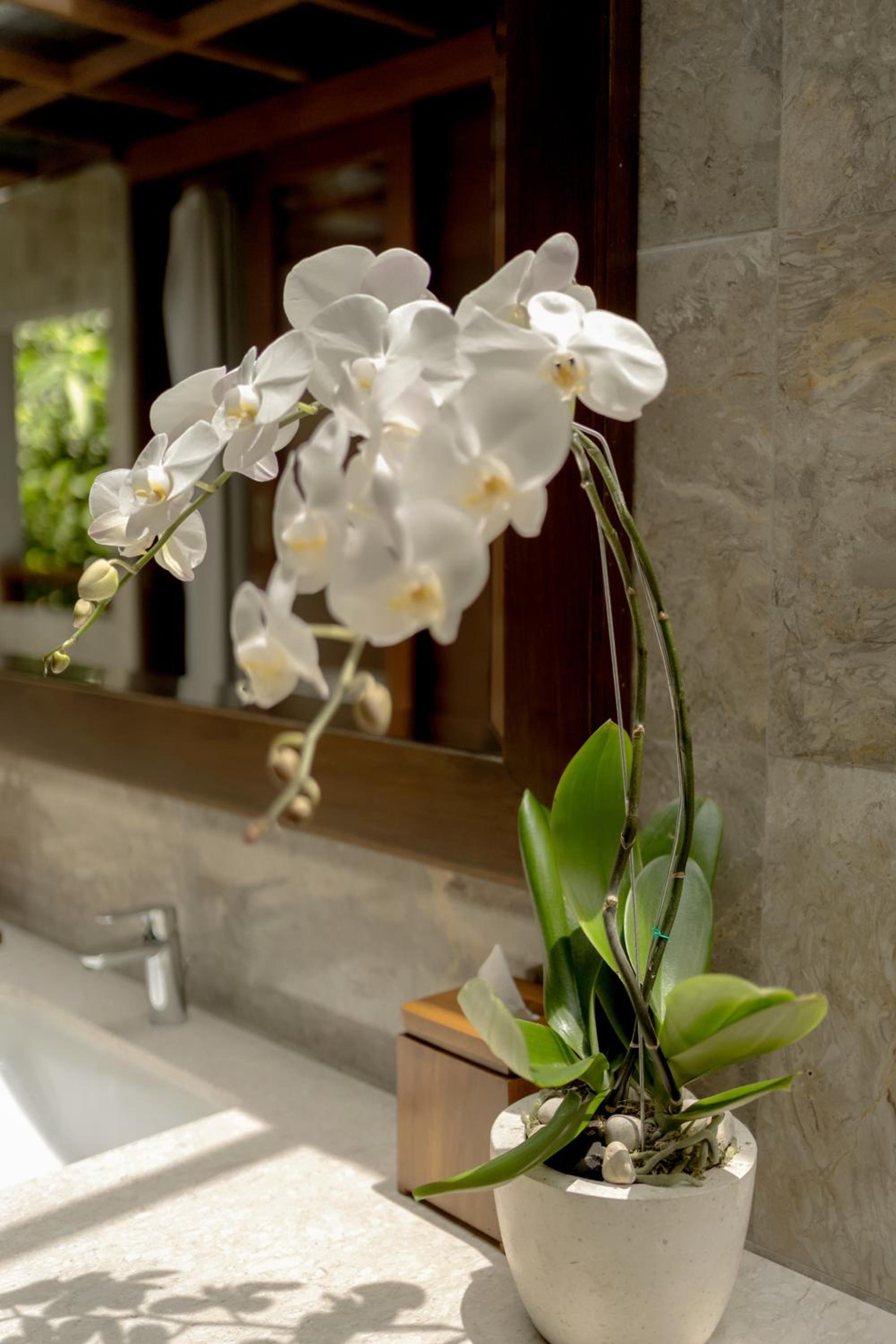 Villa At AnandaDara Ubud