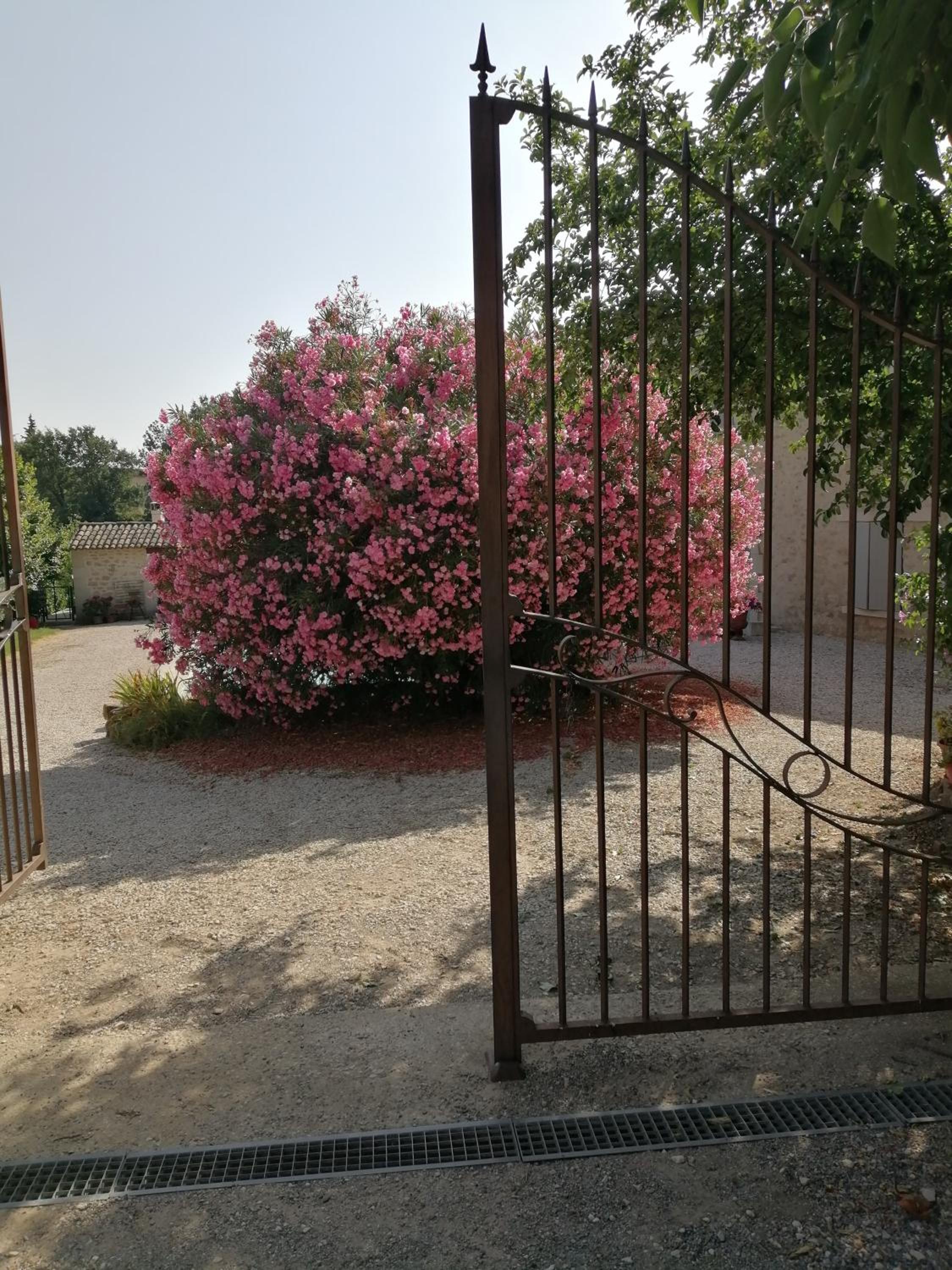 Photo 28