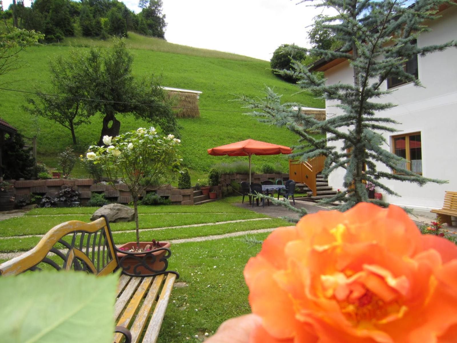 Heidi's Schlummerkiste am Fuß der Teichalm