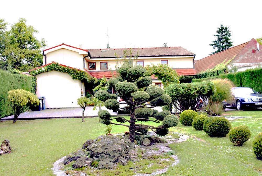 Photo 46