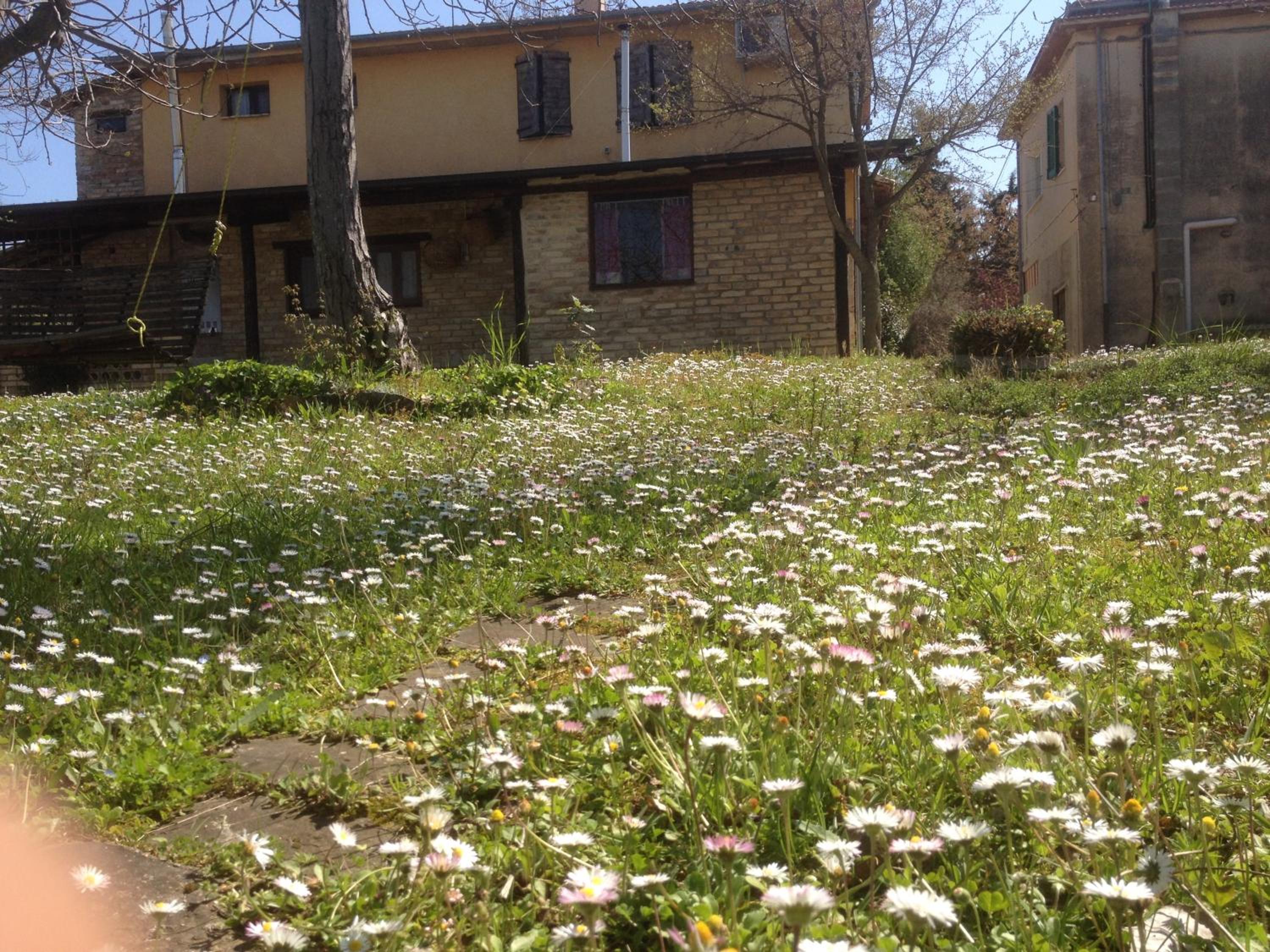 Agriturismo Via del Campo photo 4