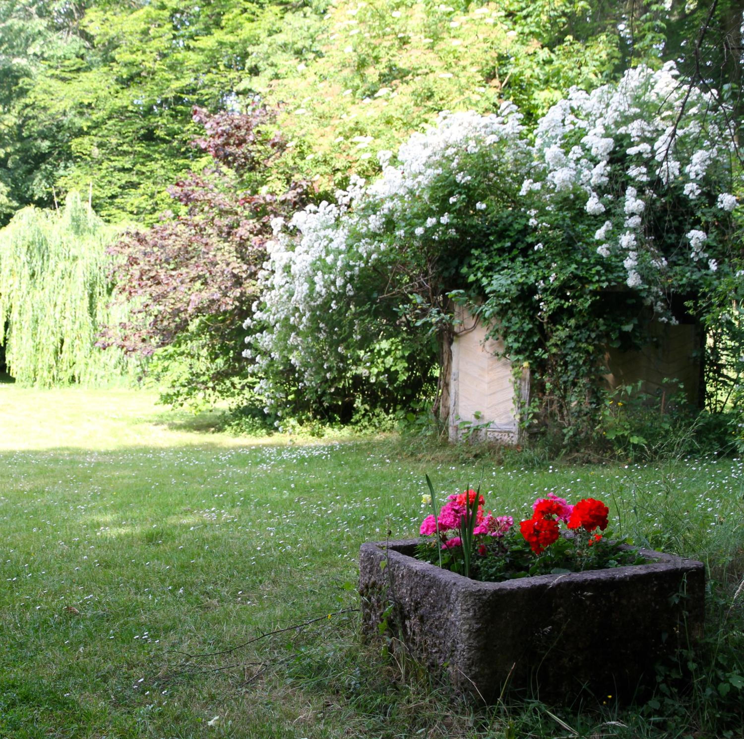 Photo 27