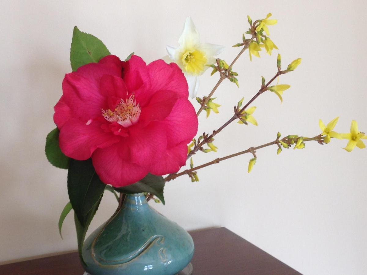Photo 40