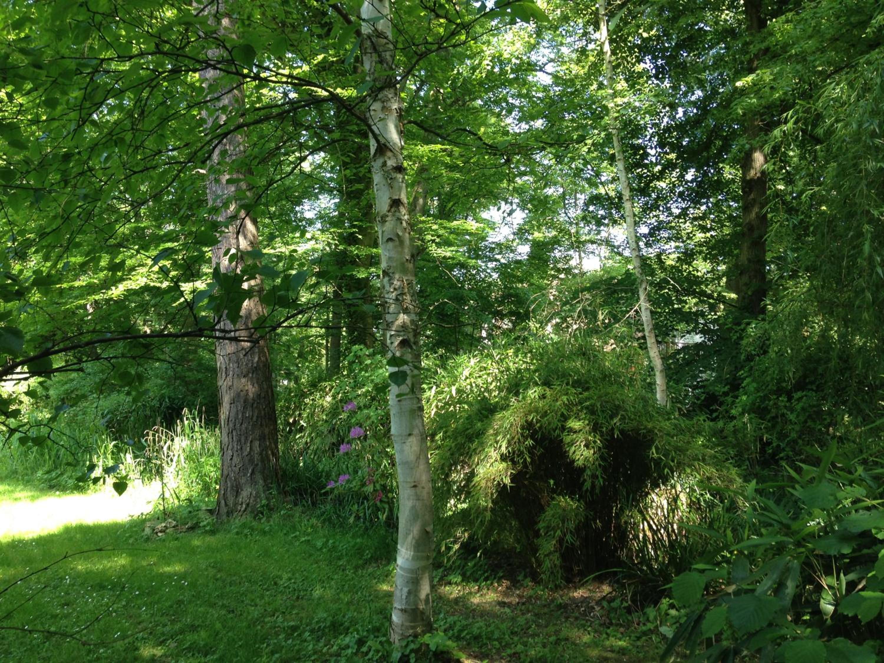 Photo 14