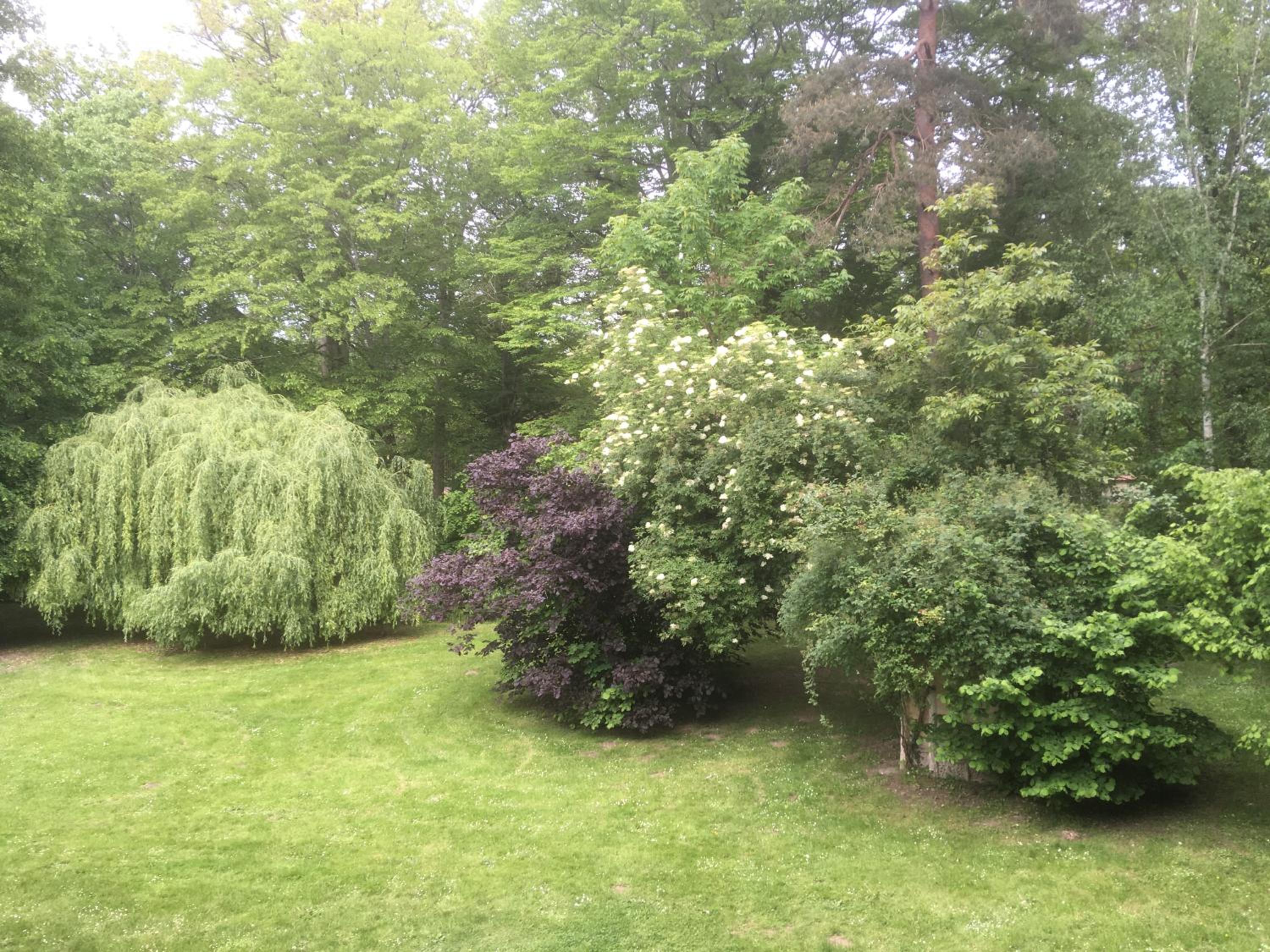 Photo 36
