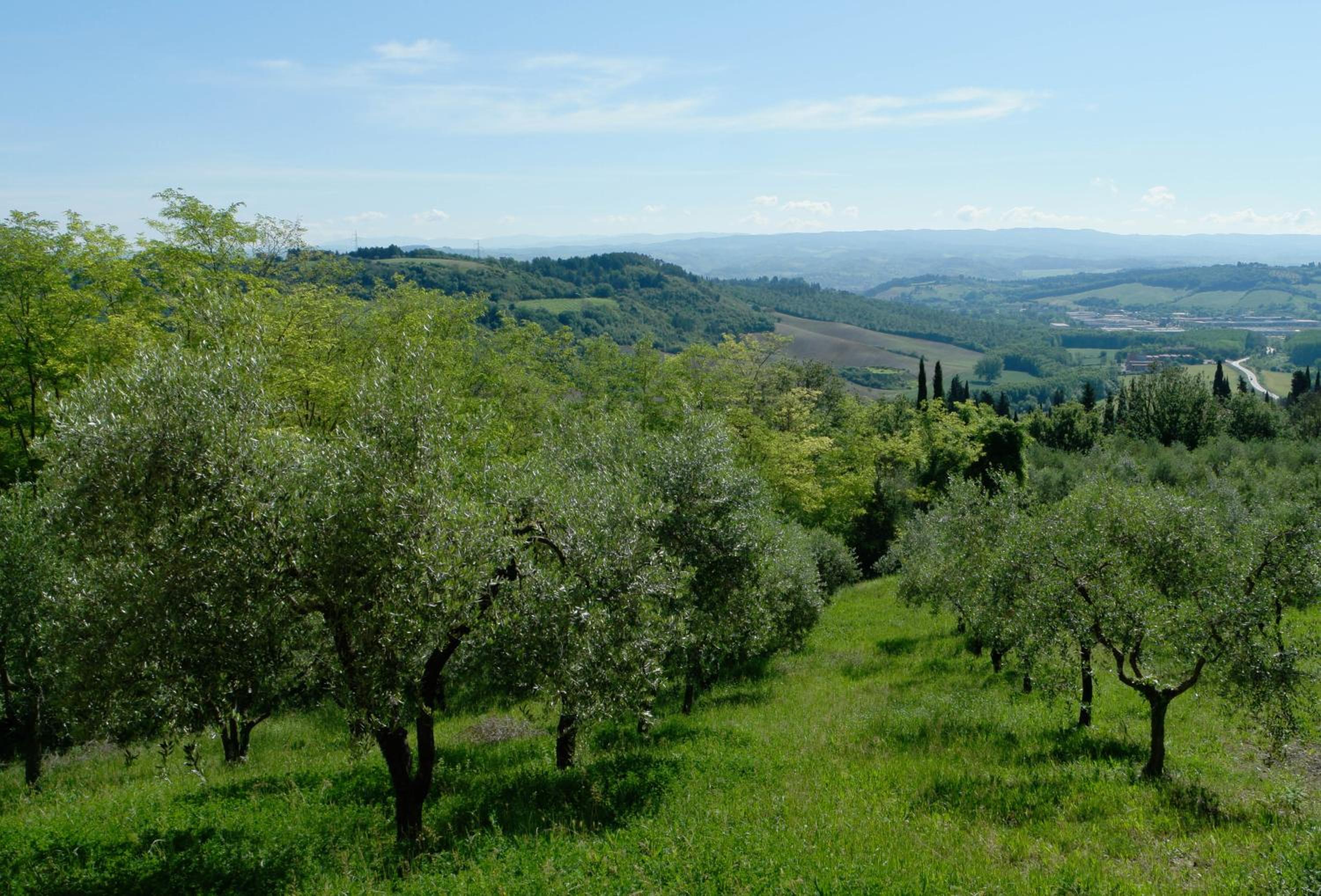 Il Borghetto Tuscan Holidays