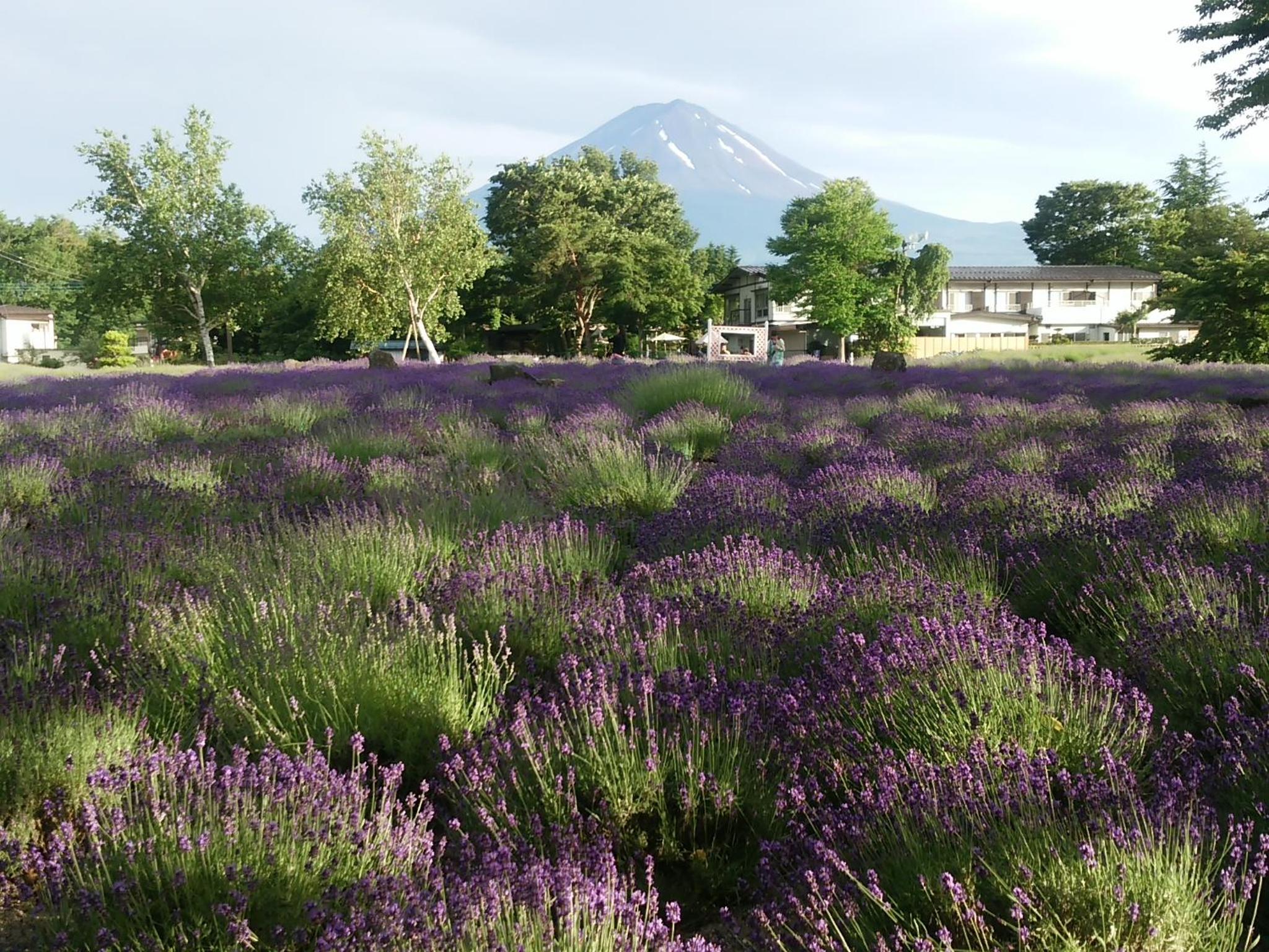 Lakeland Hotel Mizunosato