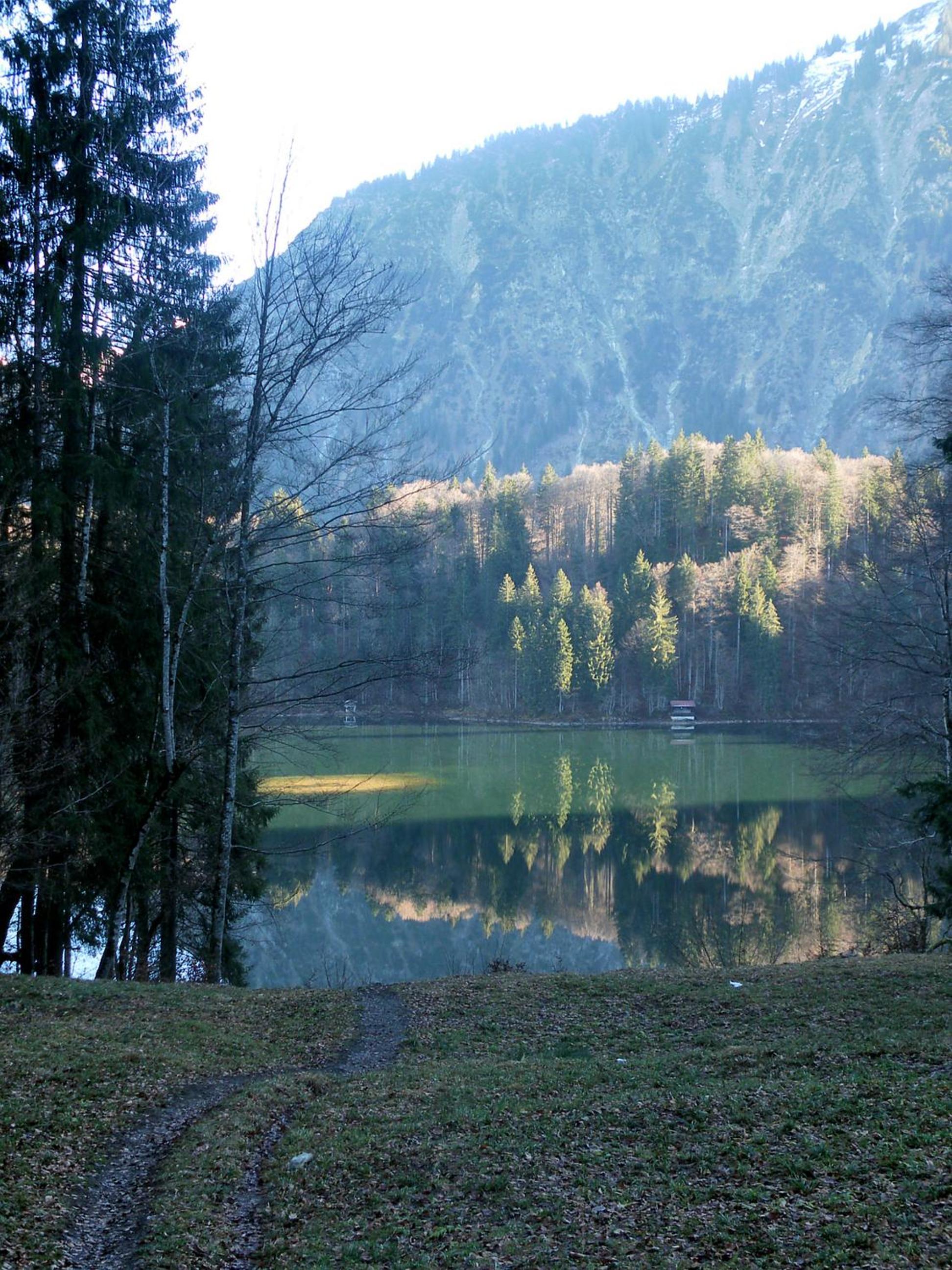 Photo 25