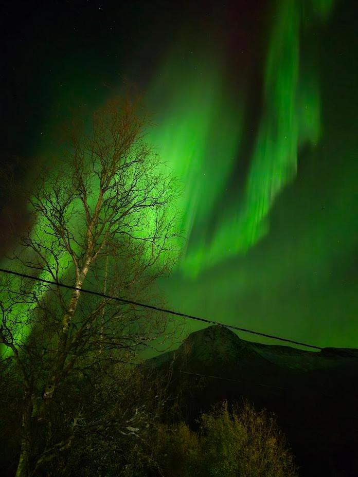 Senja 4 Summit