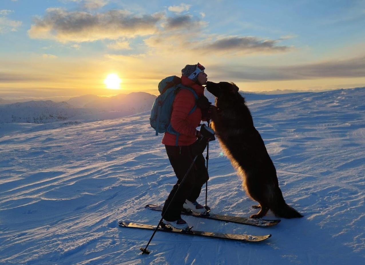 Senja 4 Summit