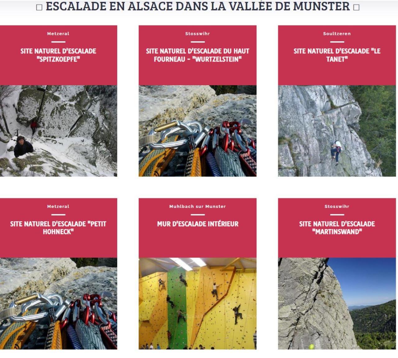 MUNSTER camping de la FECHT, photo 18