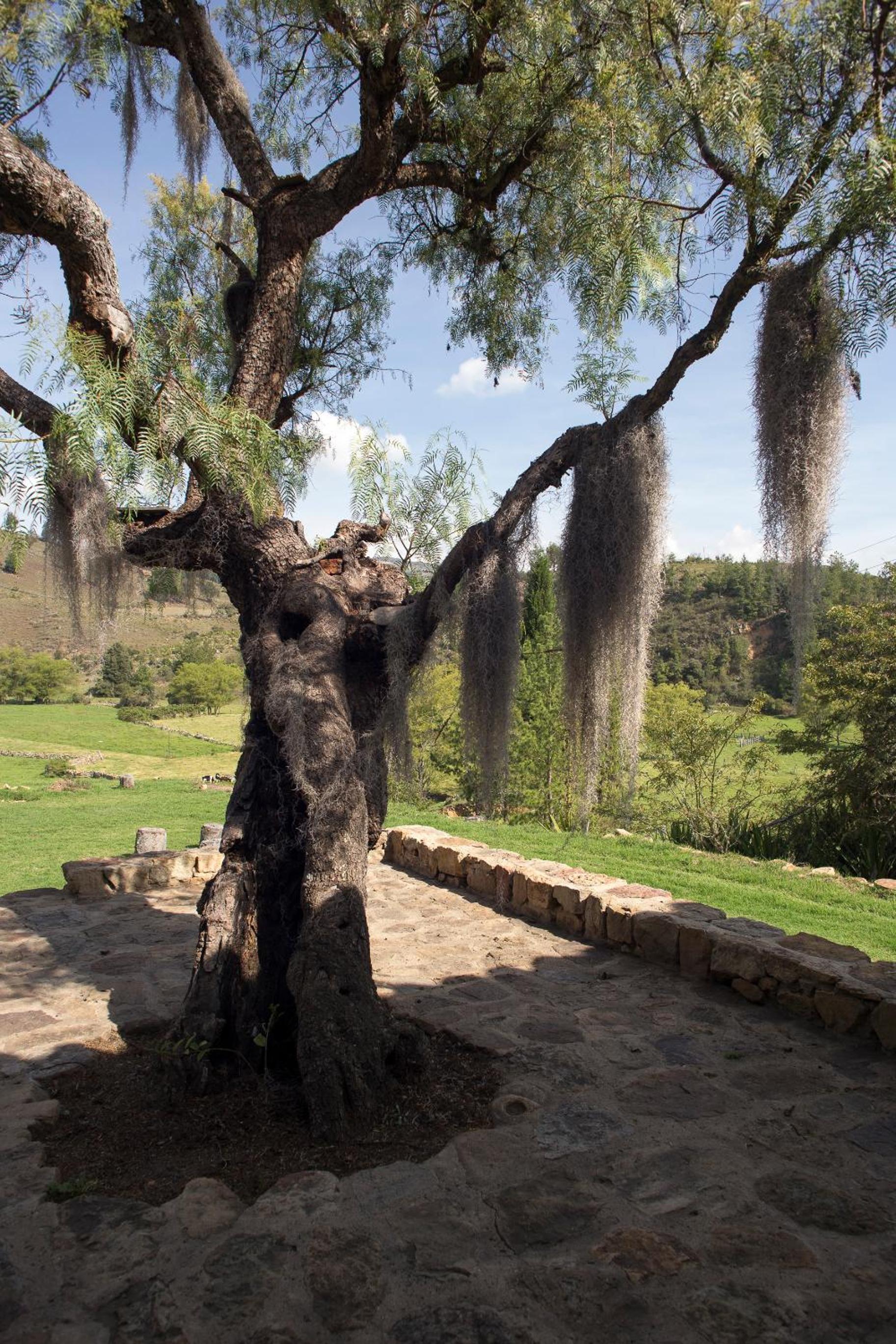 Casa Campestre SUANOGA
