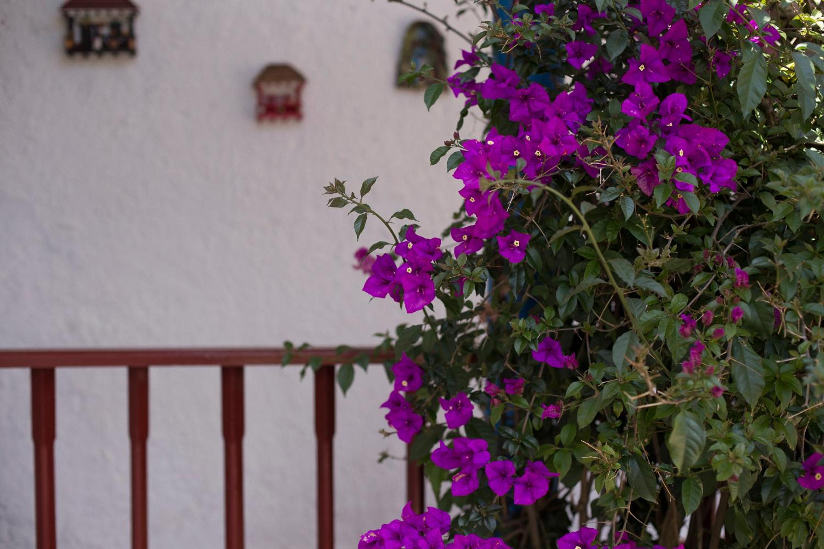 Casa Campestre SUANOGA