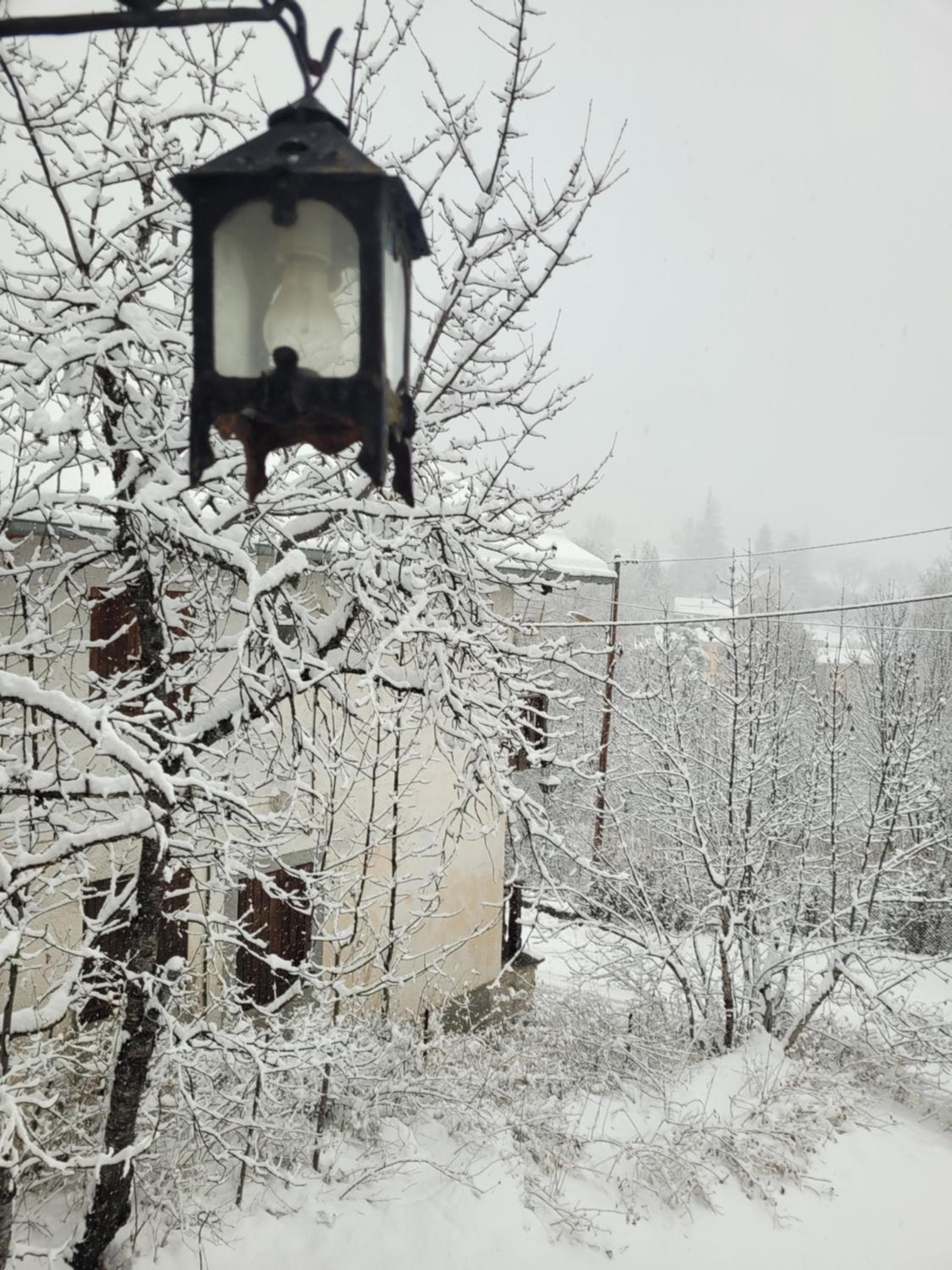 Chalet LE CHEVREUIL Proche La Foux d'Allos
