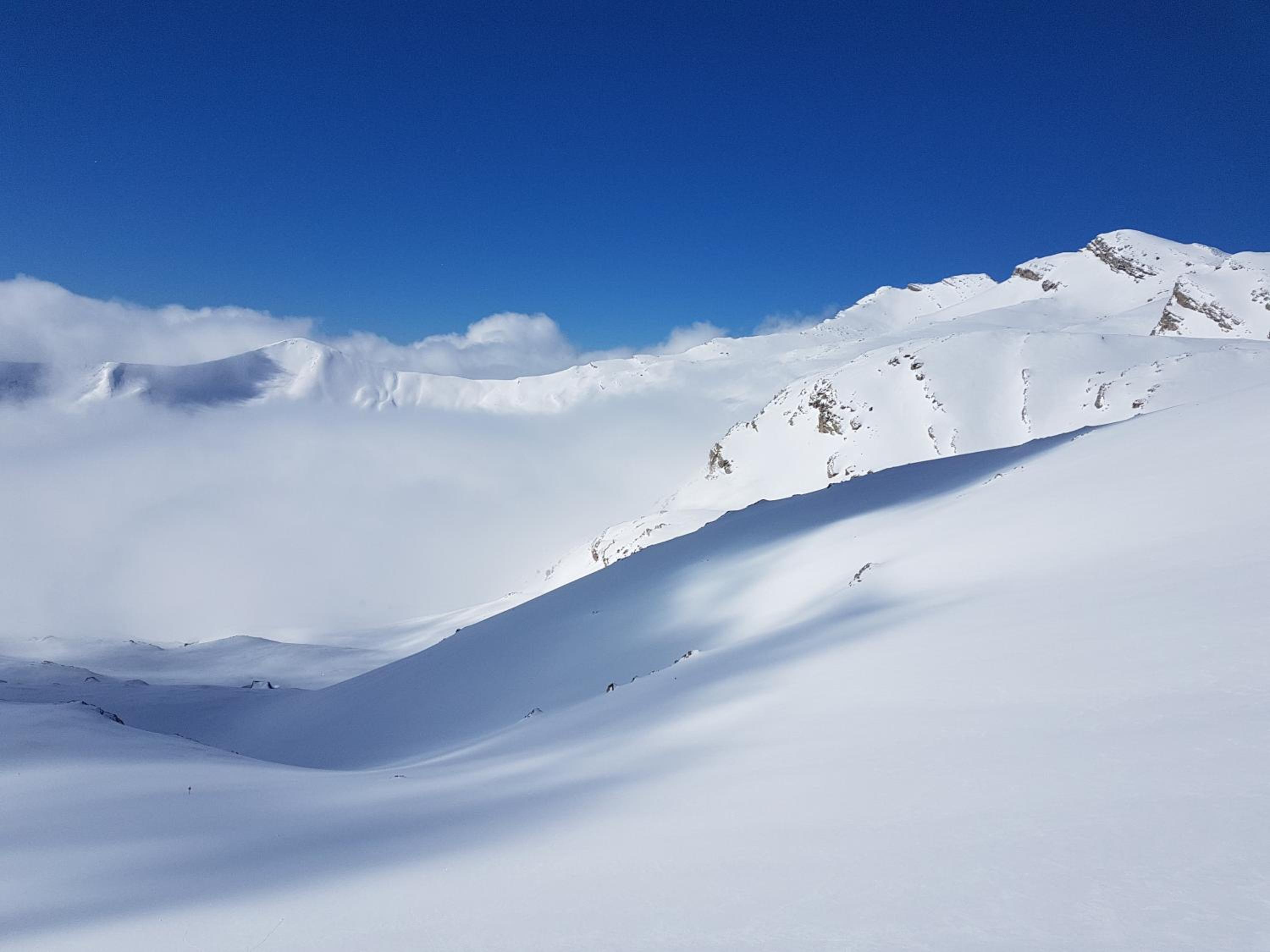 Chalet LE CHEVREUIL Proche La Foux d'Allos