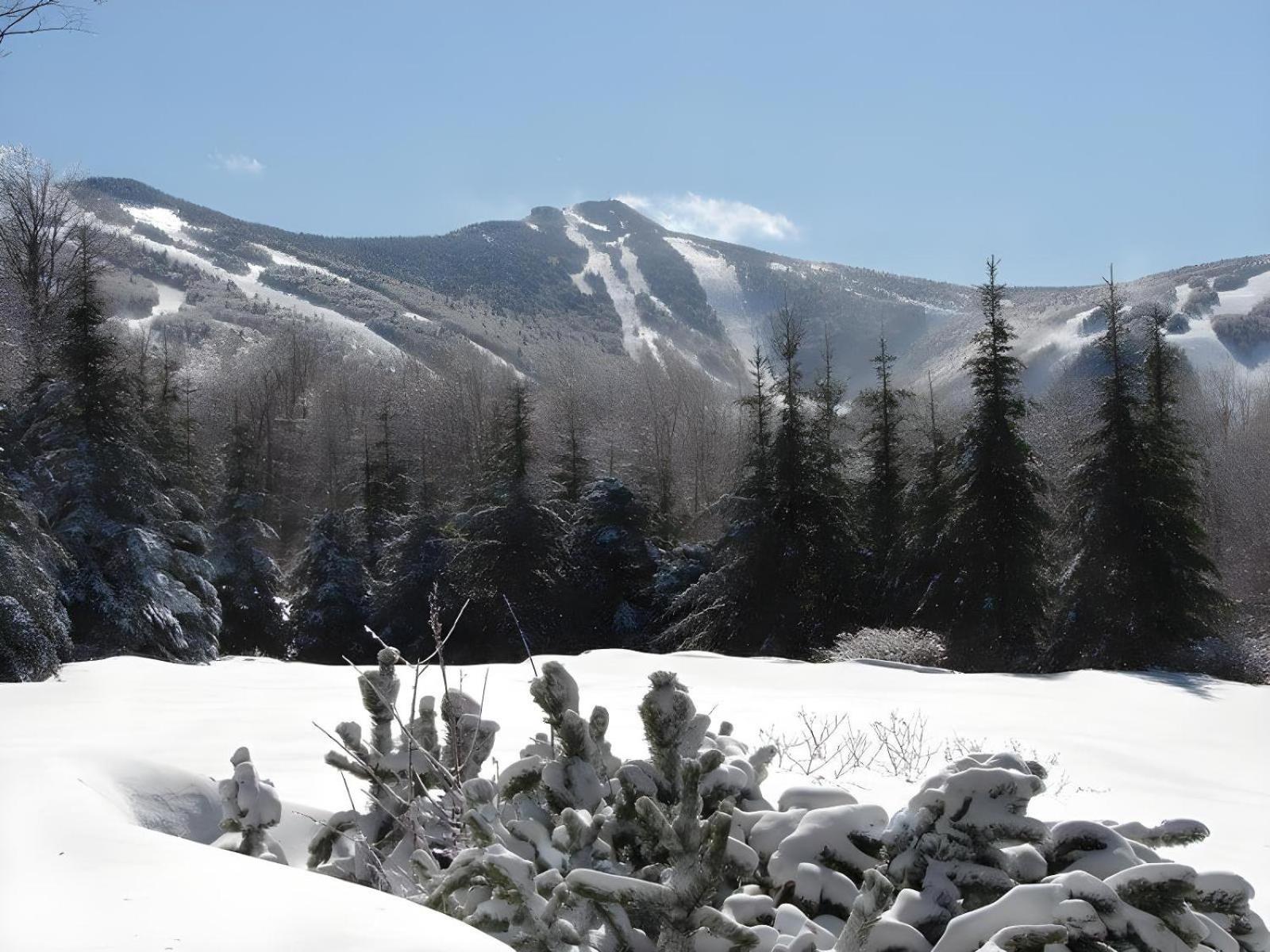 The Mountainside House - Luxury Home, Indoor Hot Tub, Ski Home, Private Shuttle