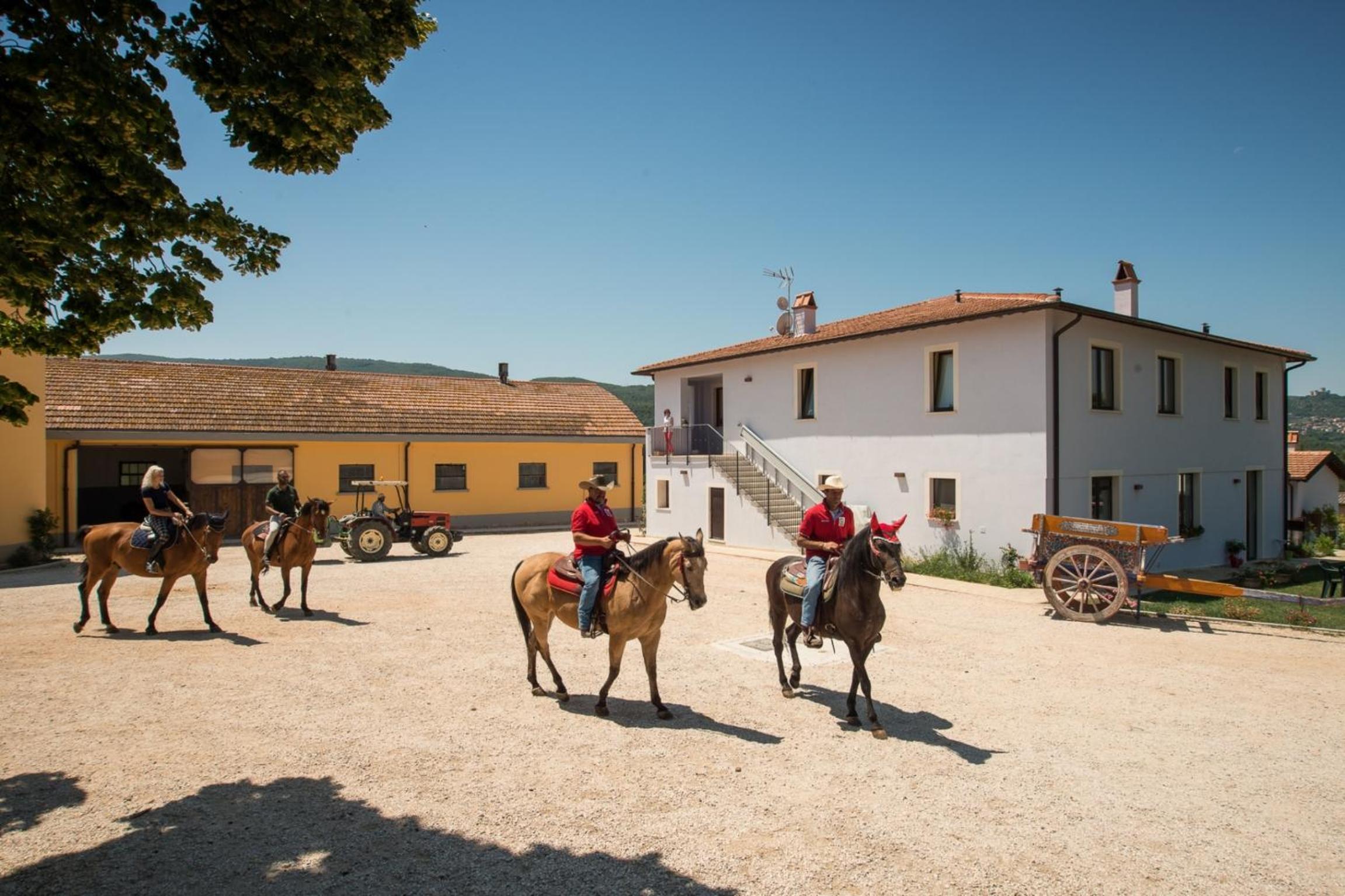 activities & amenities