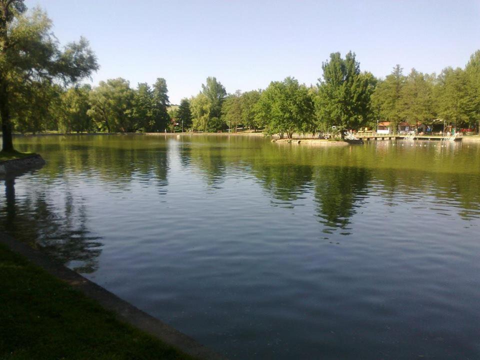 Photo 48
