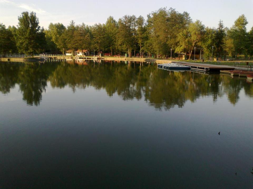 Photo 47