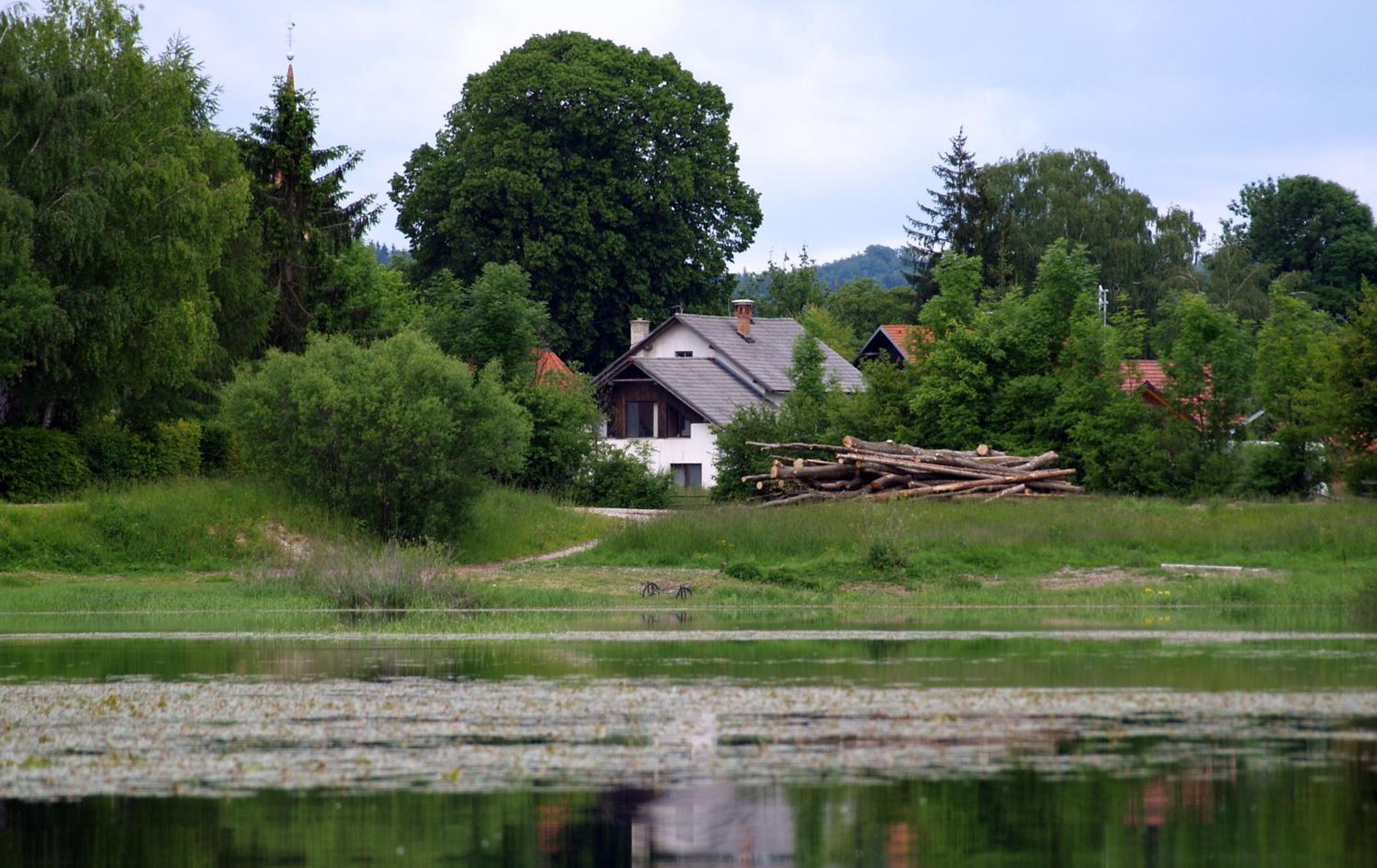 Photo 21