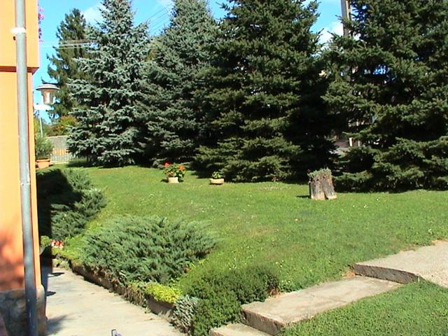 Photo 44