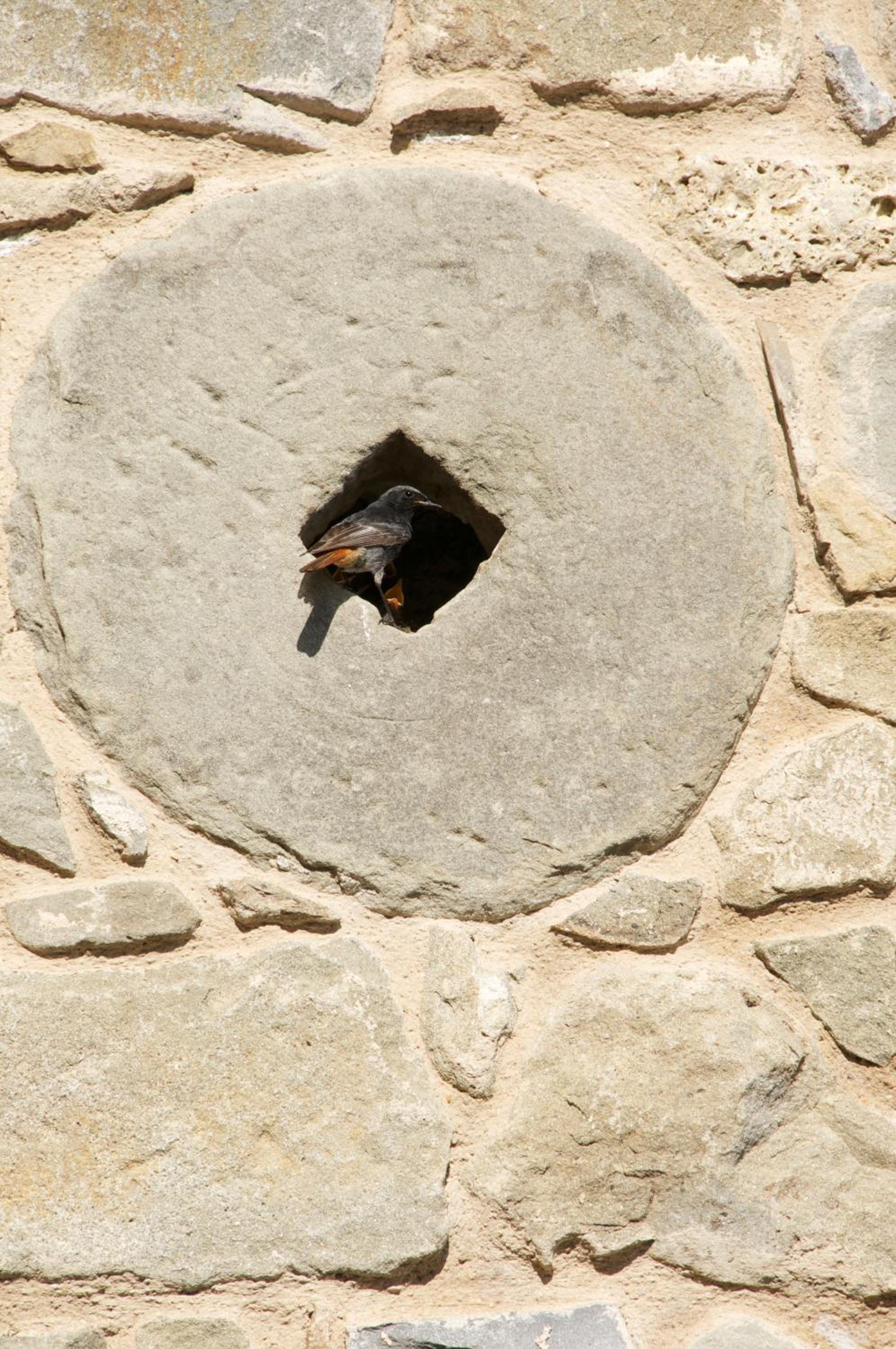 Photo 37