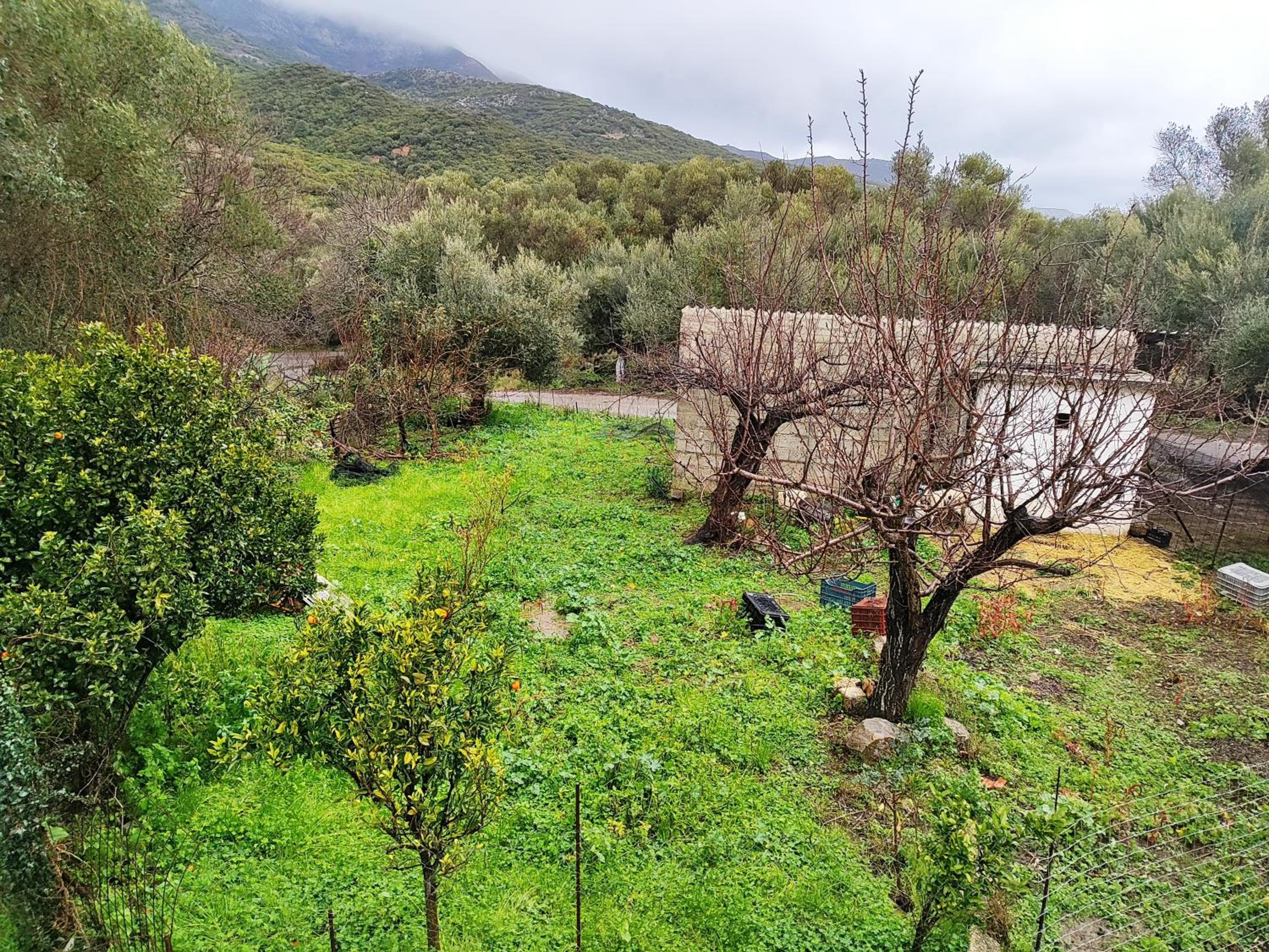 Nature House Vlatos