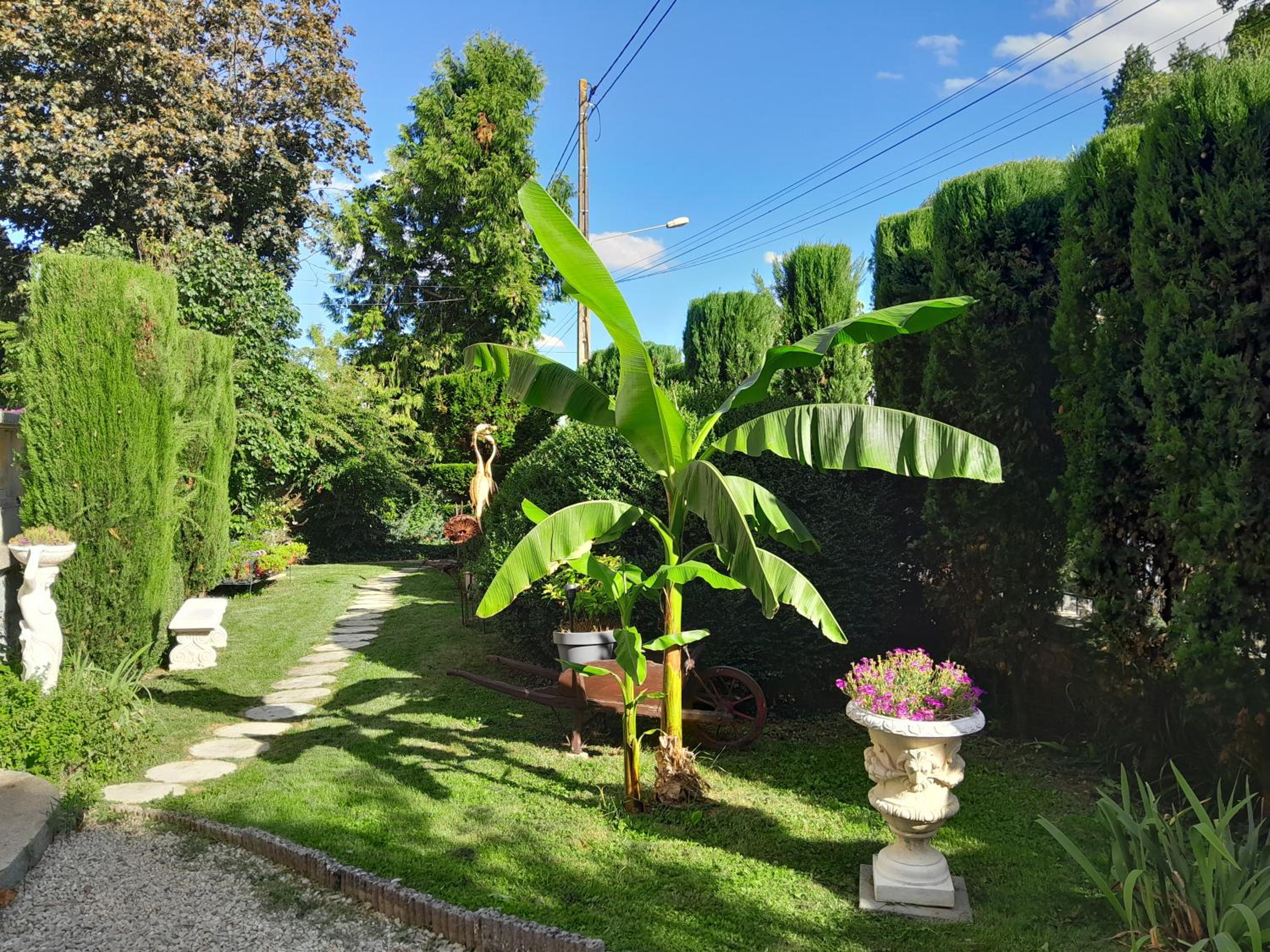 Le Madrigal, photo 5