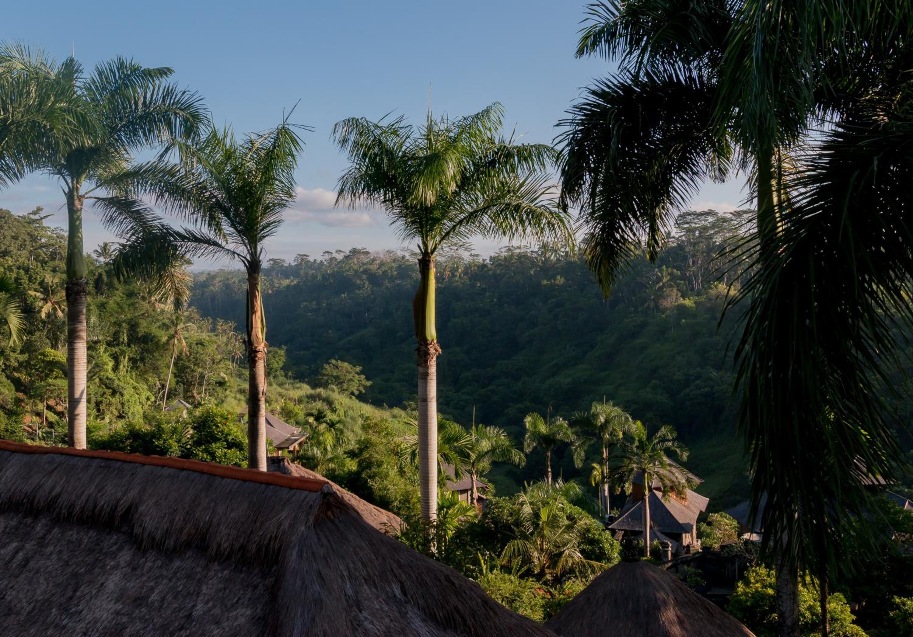 The Payogan Villa Resort and Spa Ubud