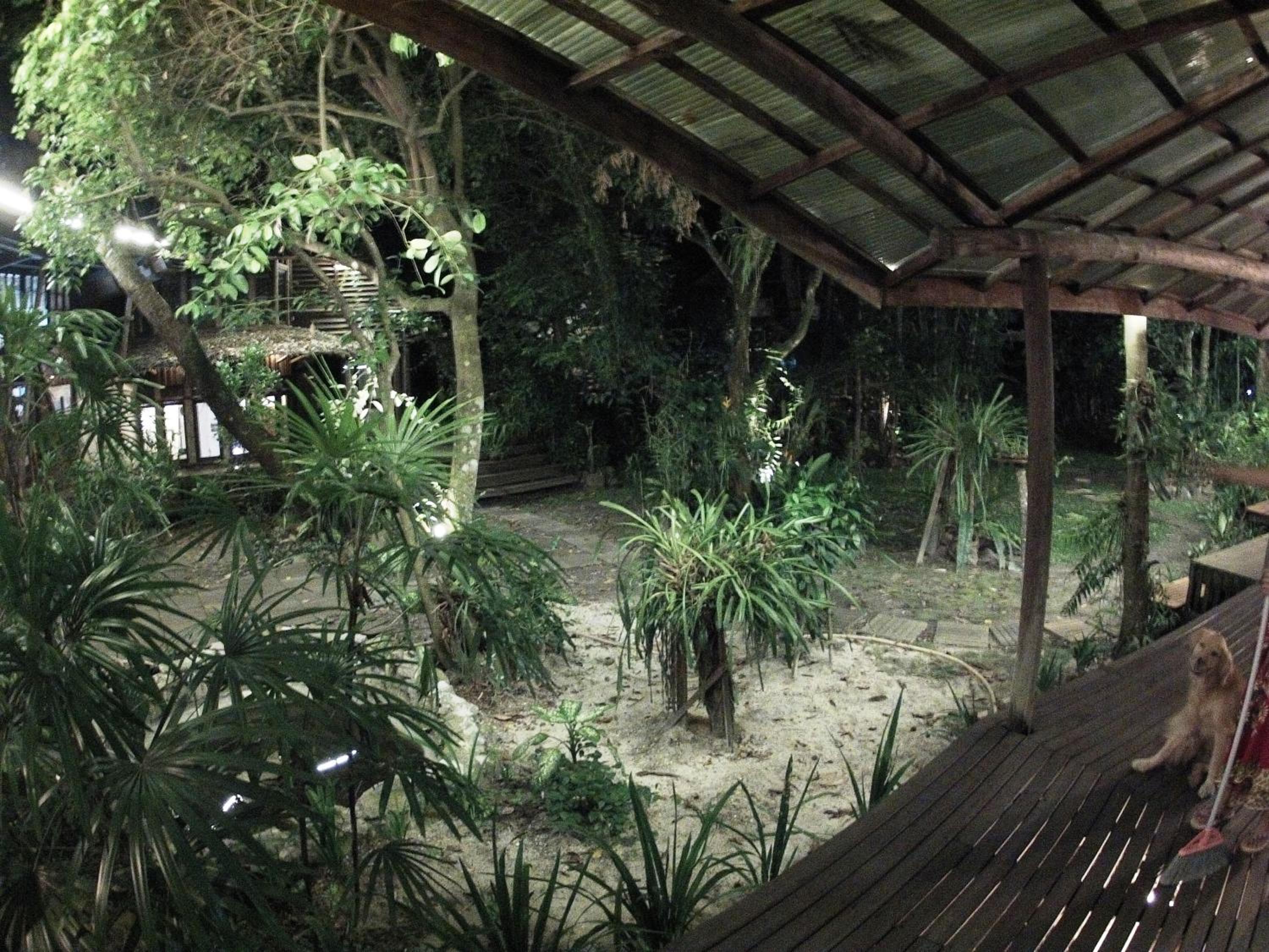Bukit Raya Guesthouse