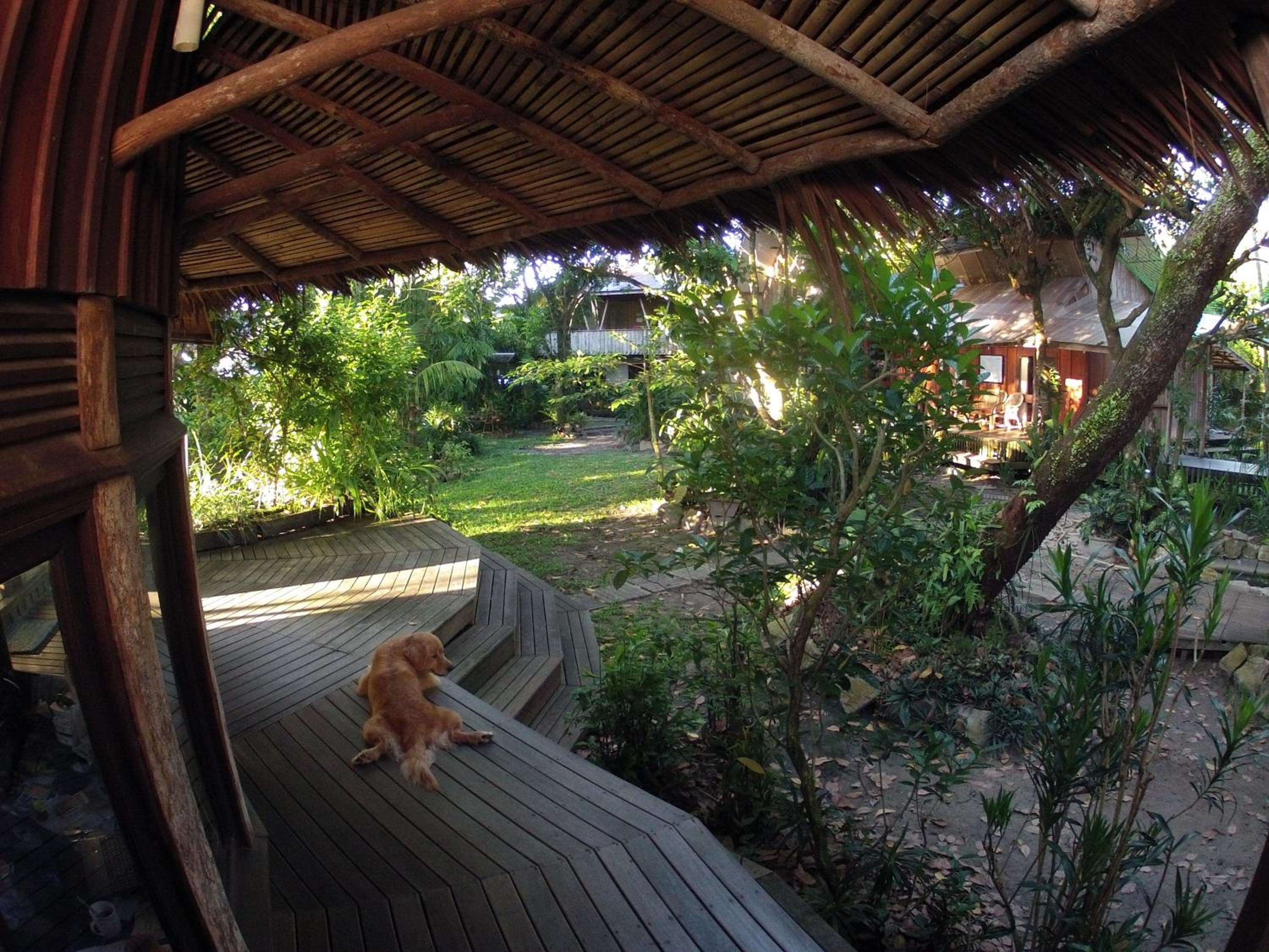 Bukit Raya Guesthouse