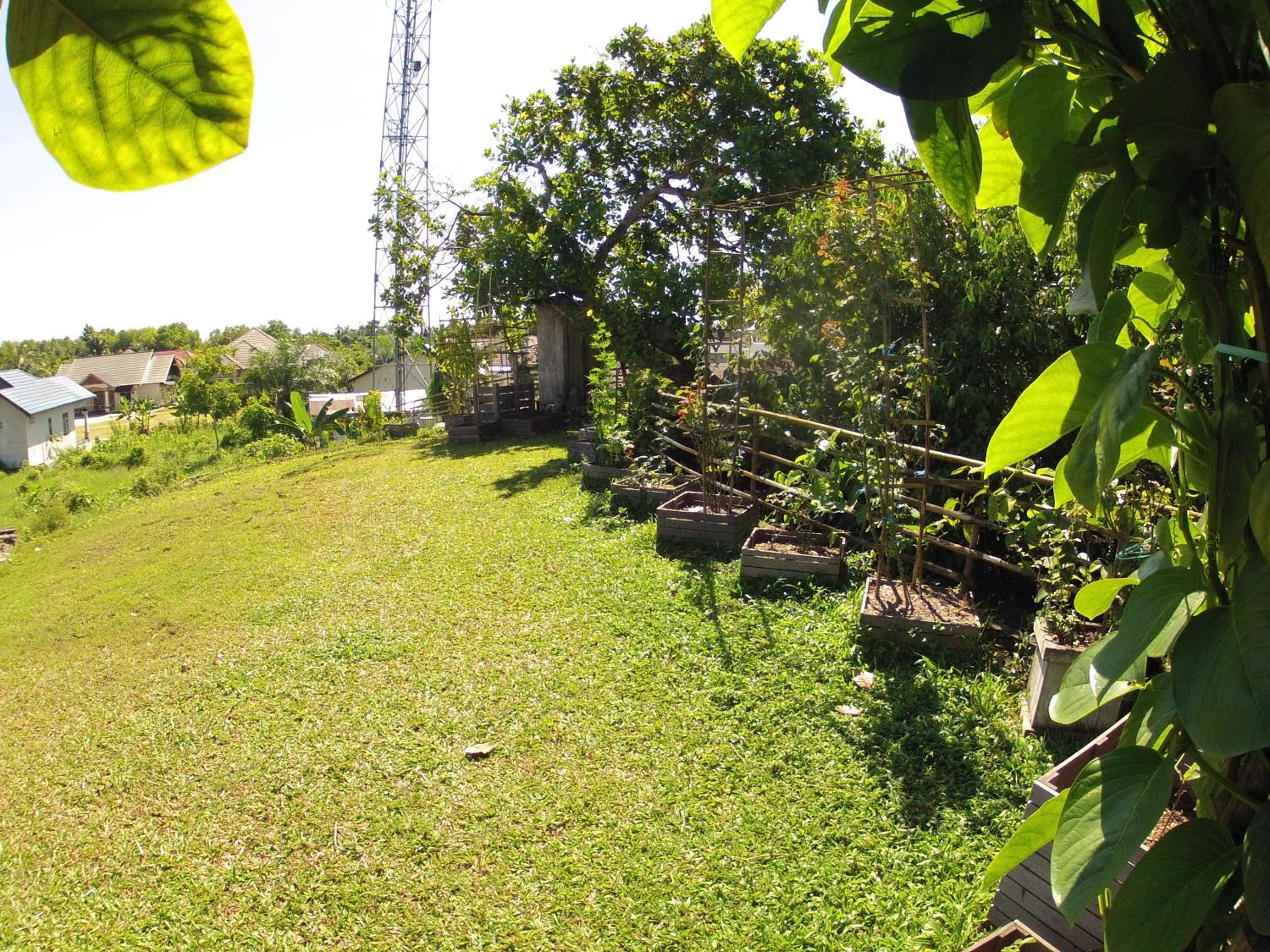 Bukit Raya Guesthouse