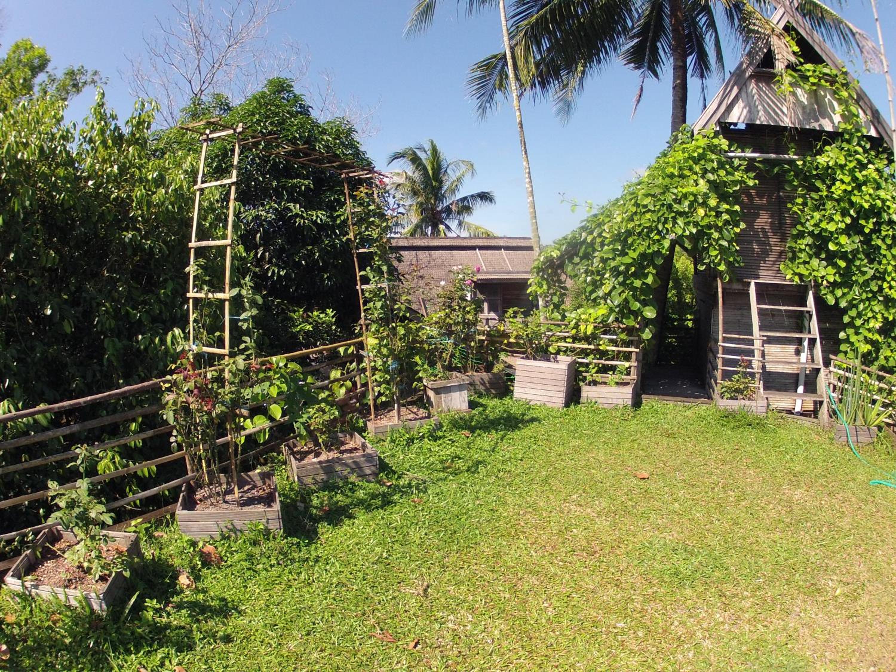 Bukit Raya Guesthouse