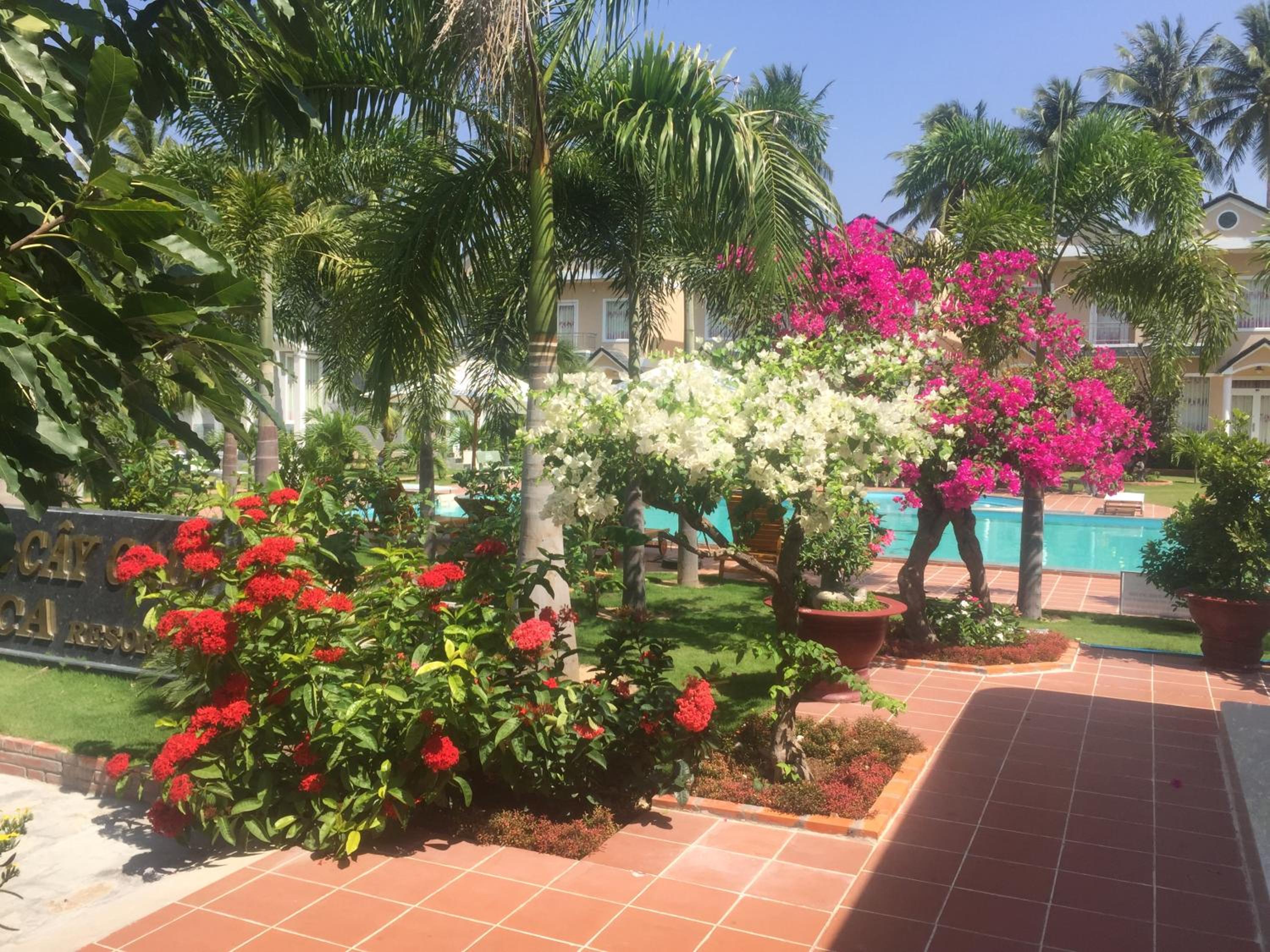 Areca Resort, Mui Ne, 베트남 - 24