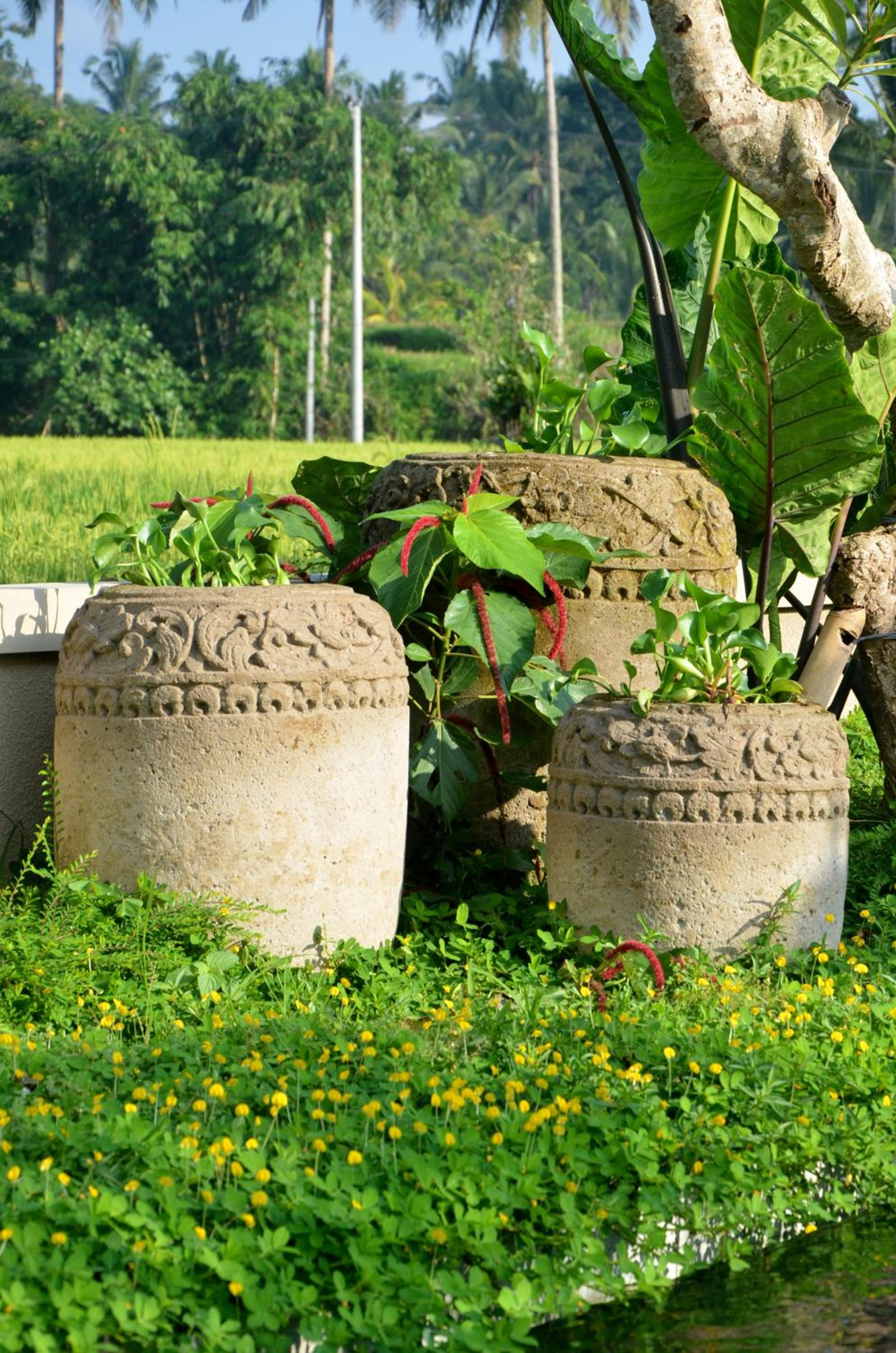 Ubud Virgin Villa