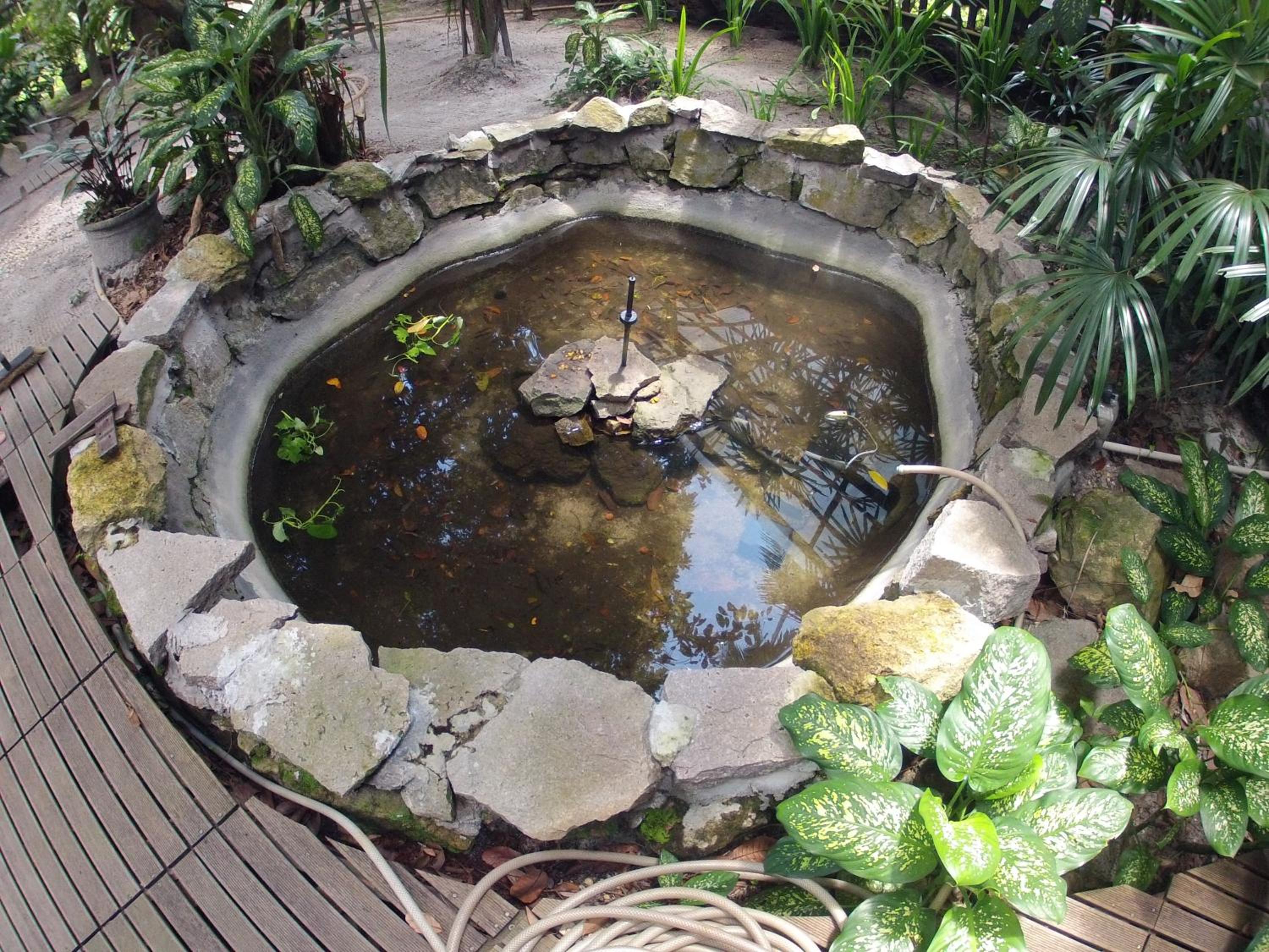 Bukit Raya Guesthouse