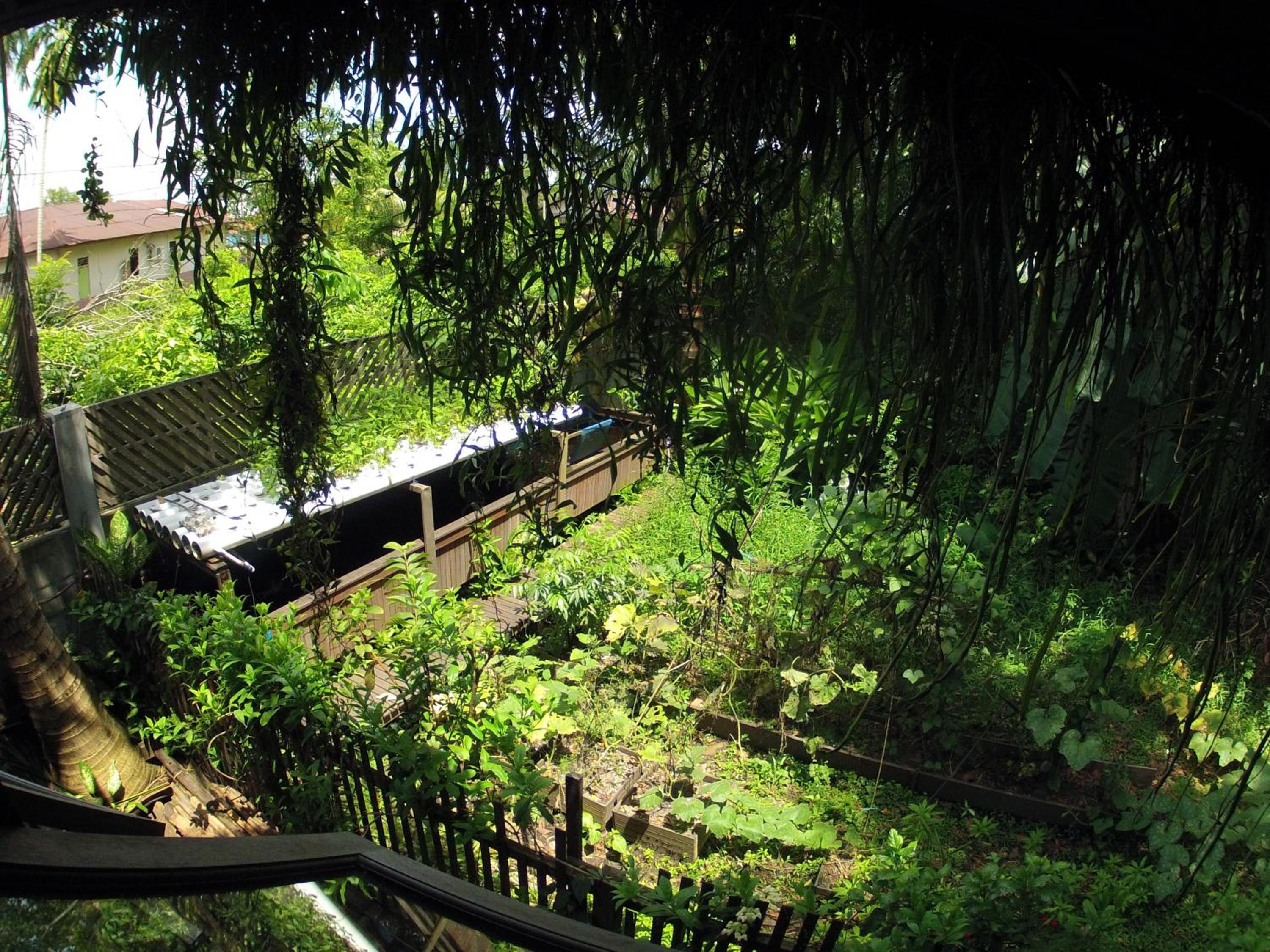 Bukit Raya Guesthouse
