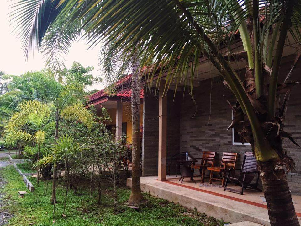 Coconut Bungalow