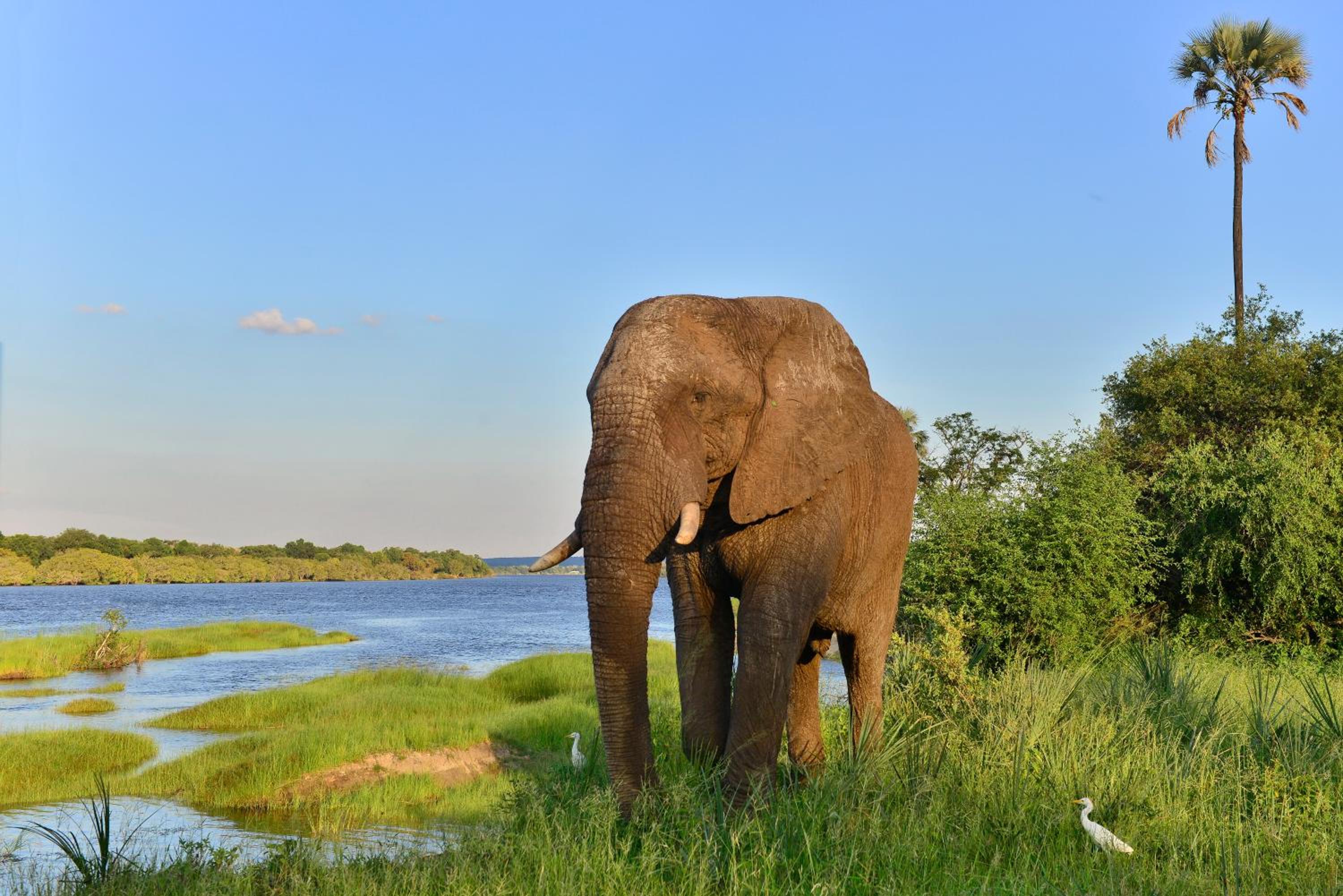 Victoria Falls River Lodge