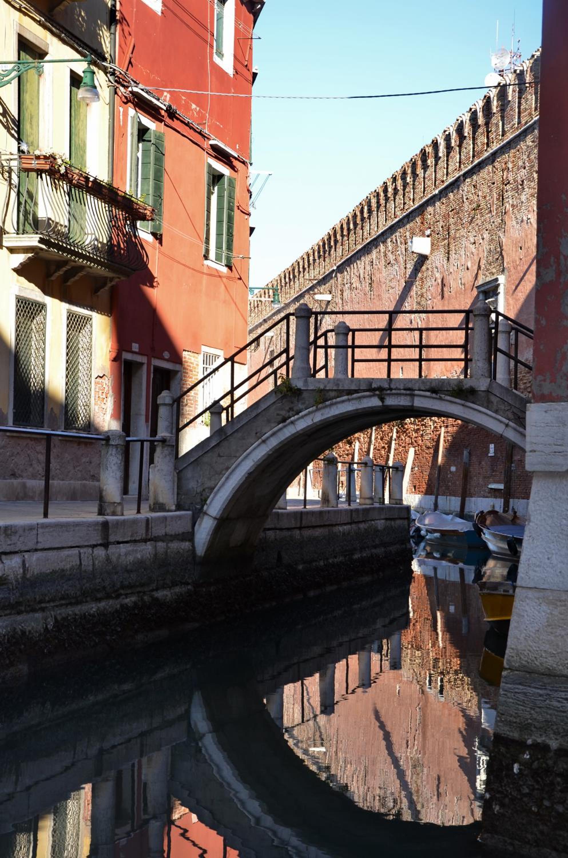 Venice Life