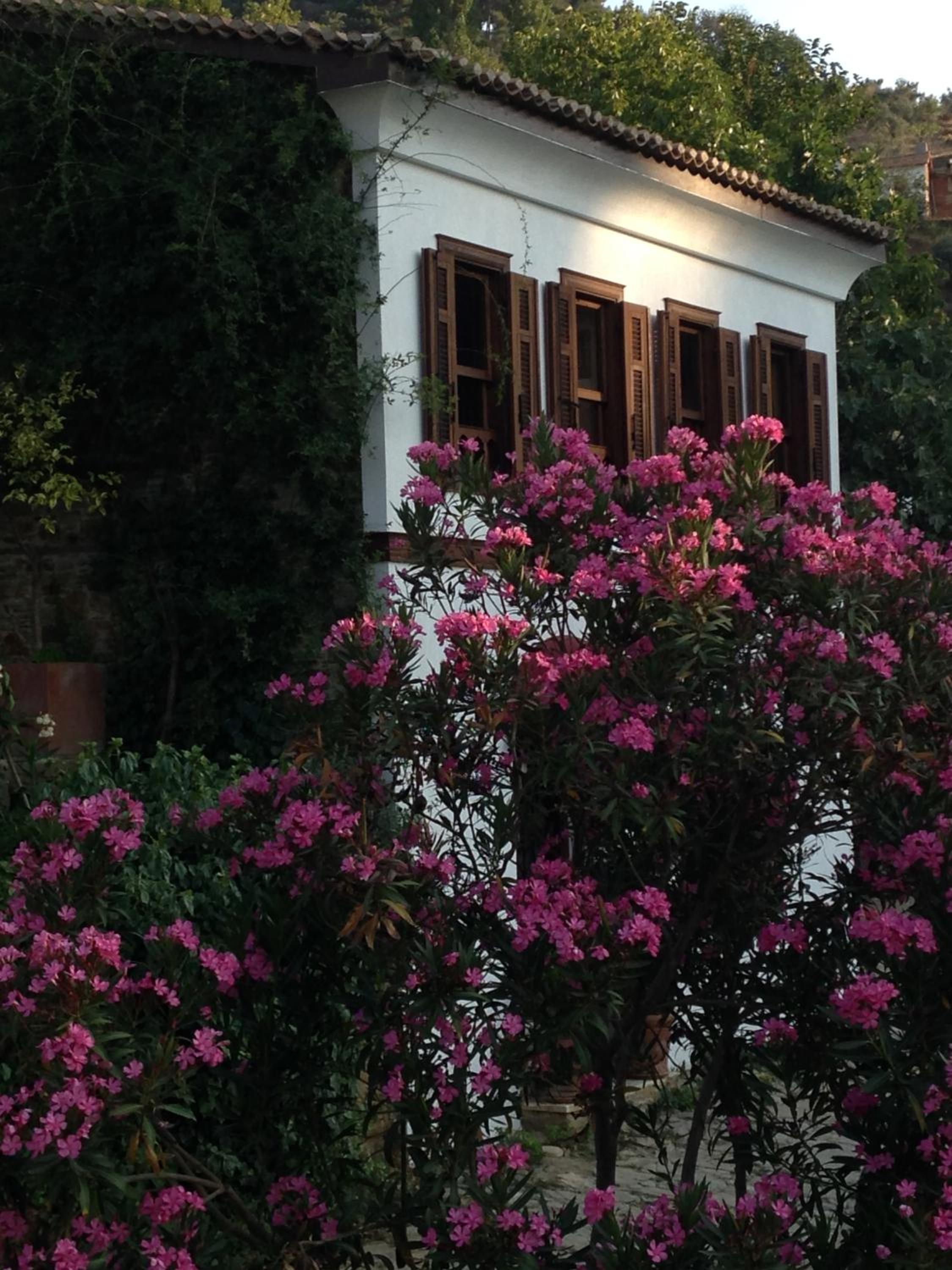 Terrace Houses Sirince